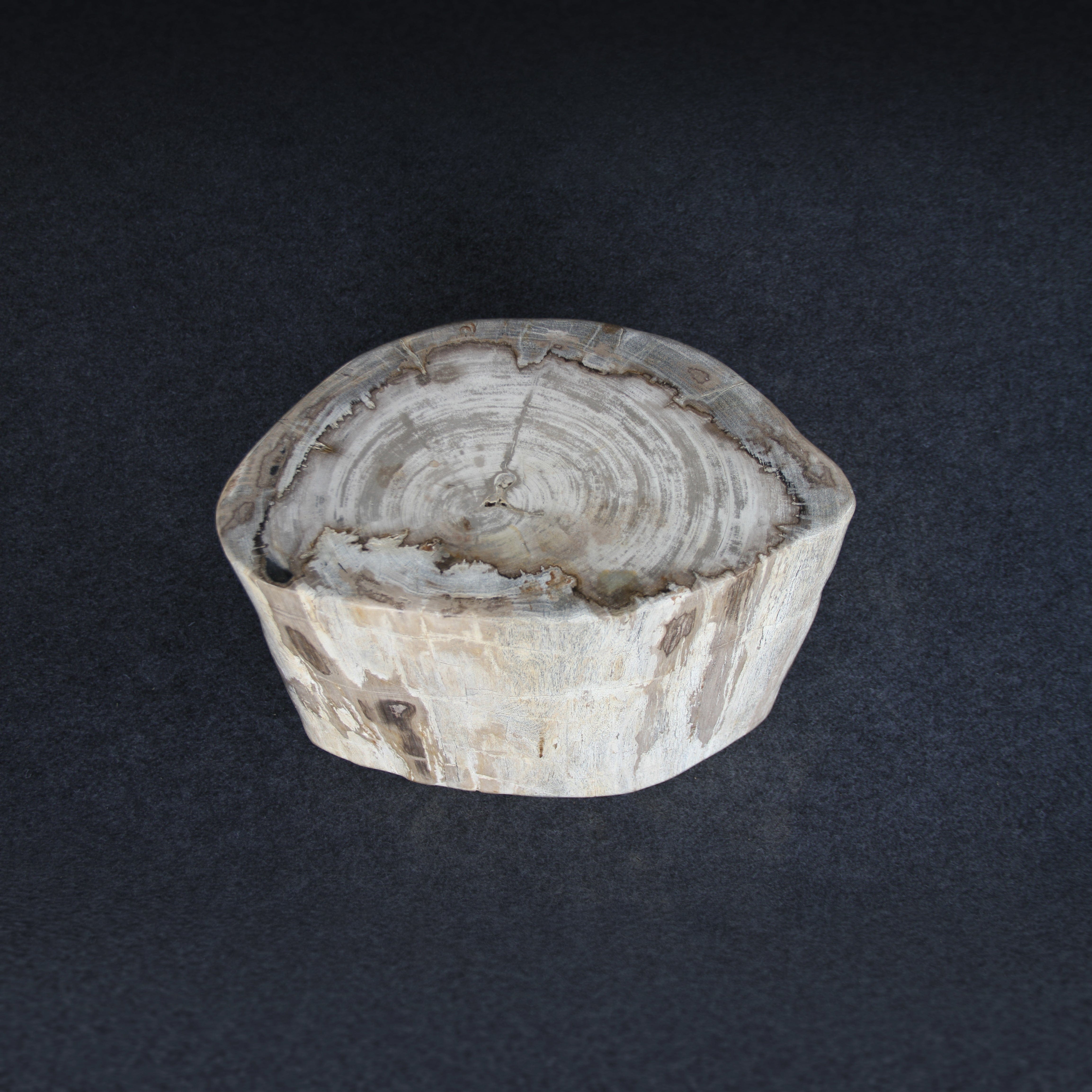 Kalifano Petrified Wood Petrified Wood Round Stump / Stool 16" / 172lbs PWS3200.014