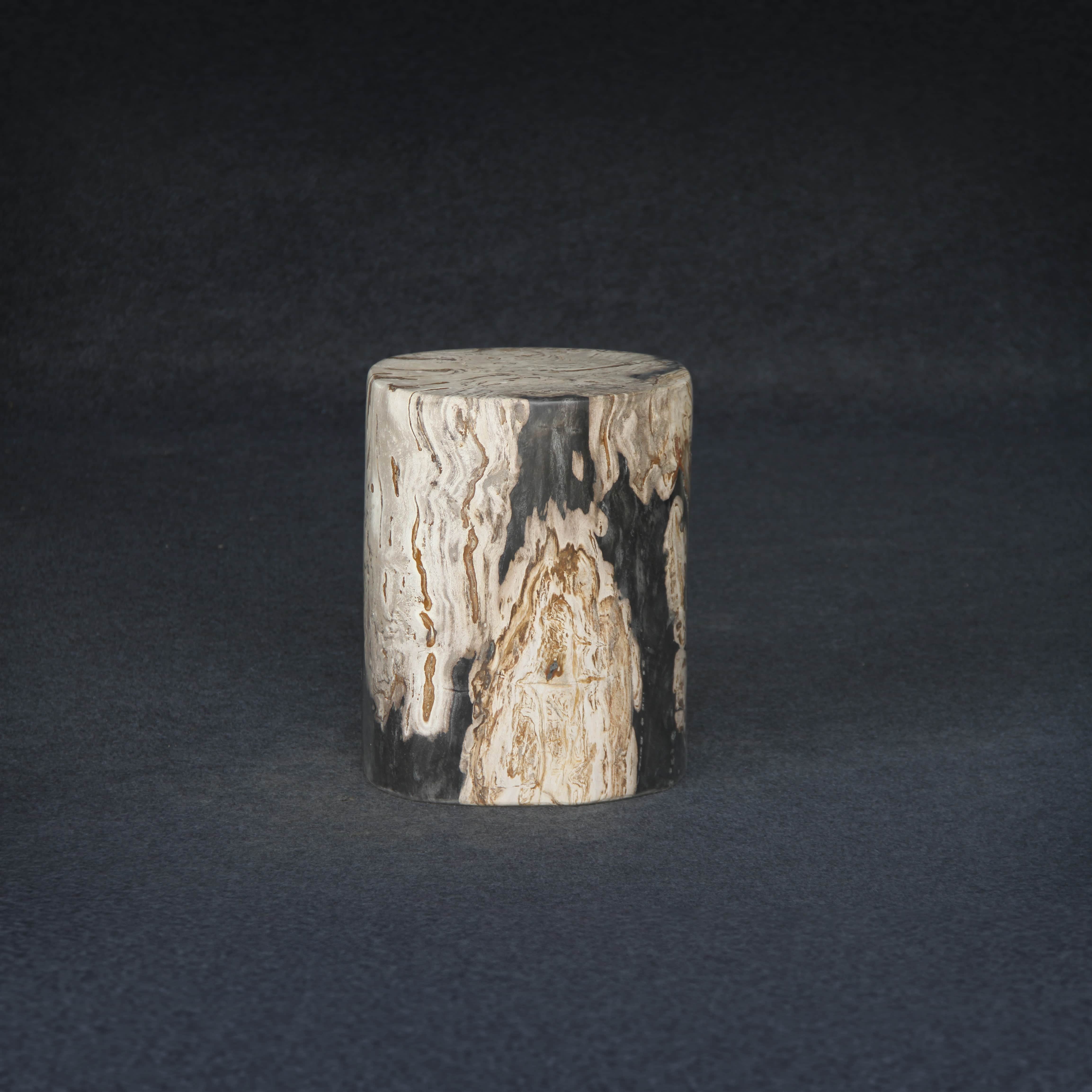 Kalifano Petrified Wood Petrified Wood Round Stump / Stool 16" / 174lbs PWS3200.016