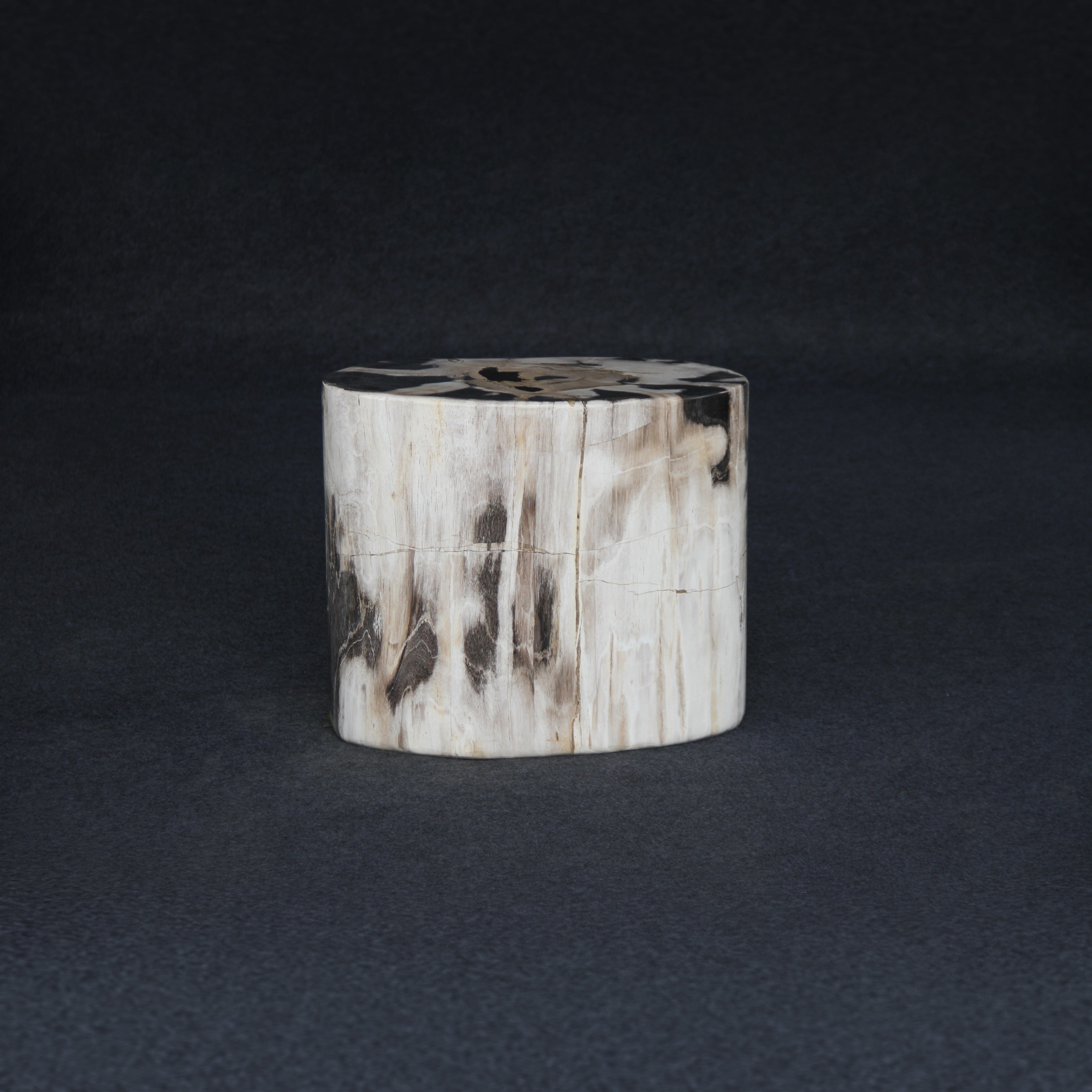 Kalifano Petrified Wood Petrified Wood Round Stump / Stool 16" / 183lbs PWS3400.018