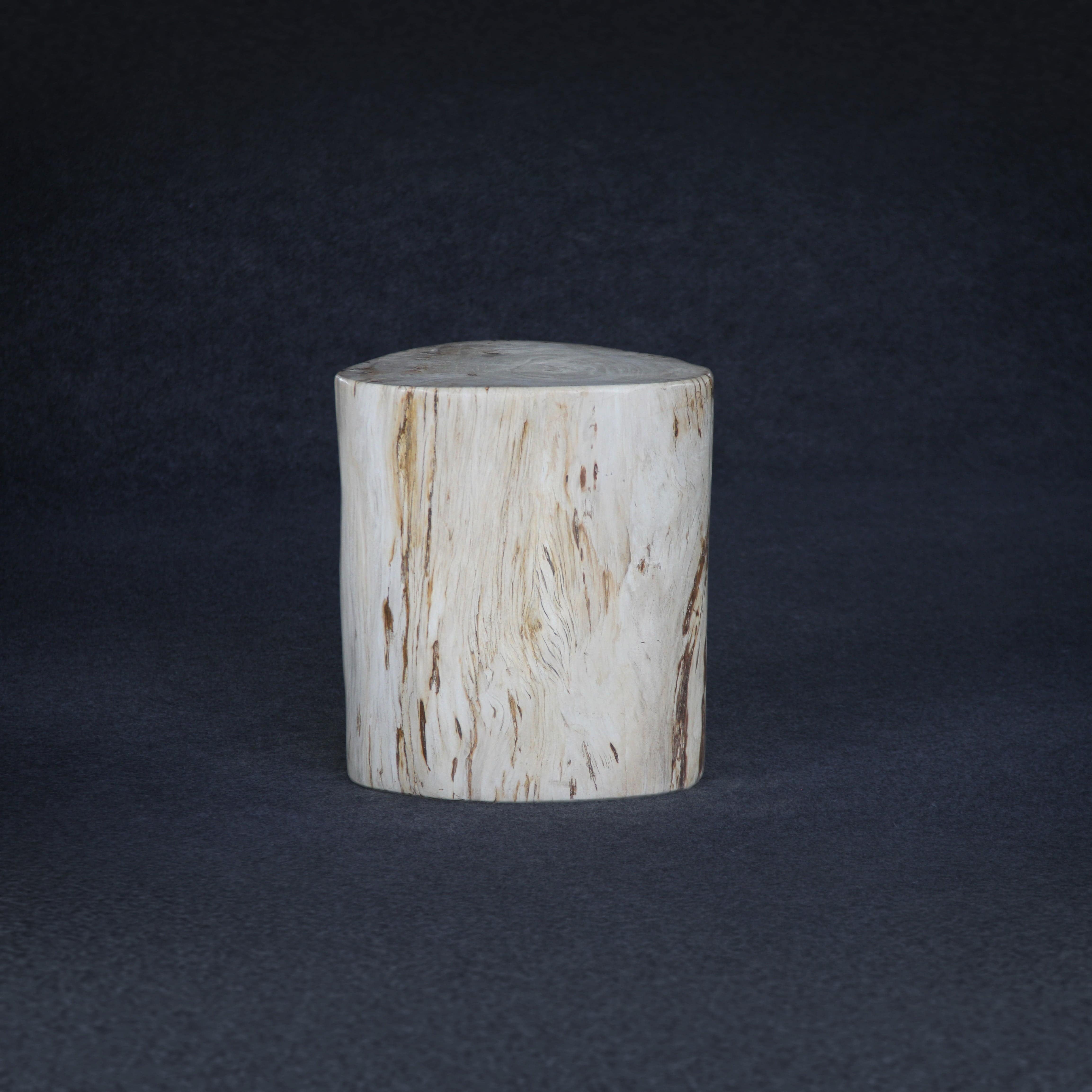 Kalifano Petrified Wood Petrified Wood Round Stump / Stool 16" / 187lbs PWS3400.014