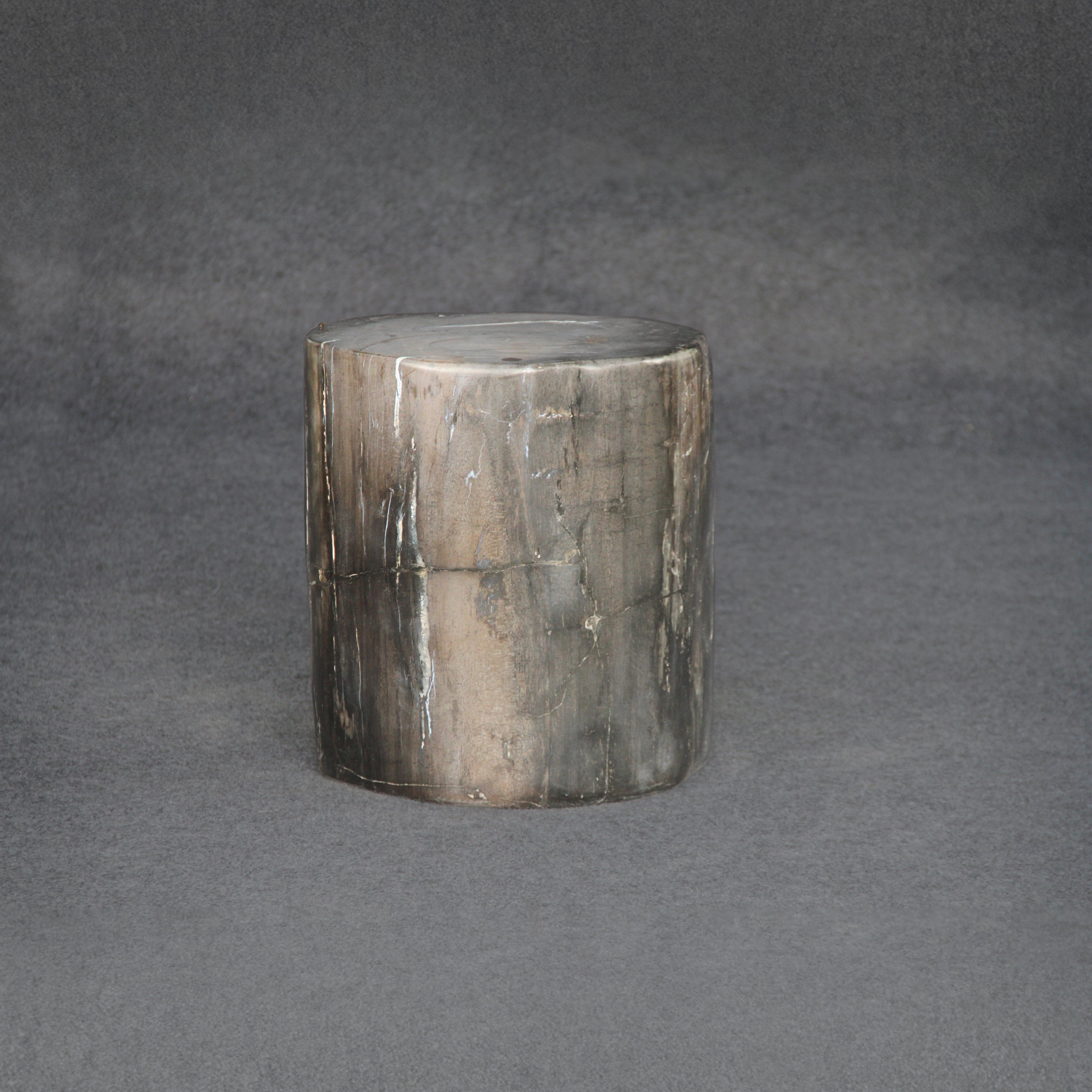Kalifano Petrified Wood Petrified Wood Round Stump / Stool 16" / 190lbs PWS3400.016