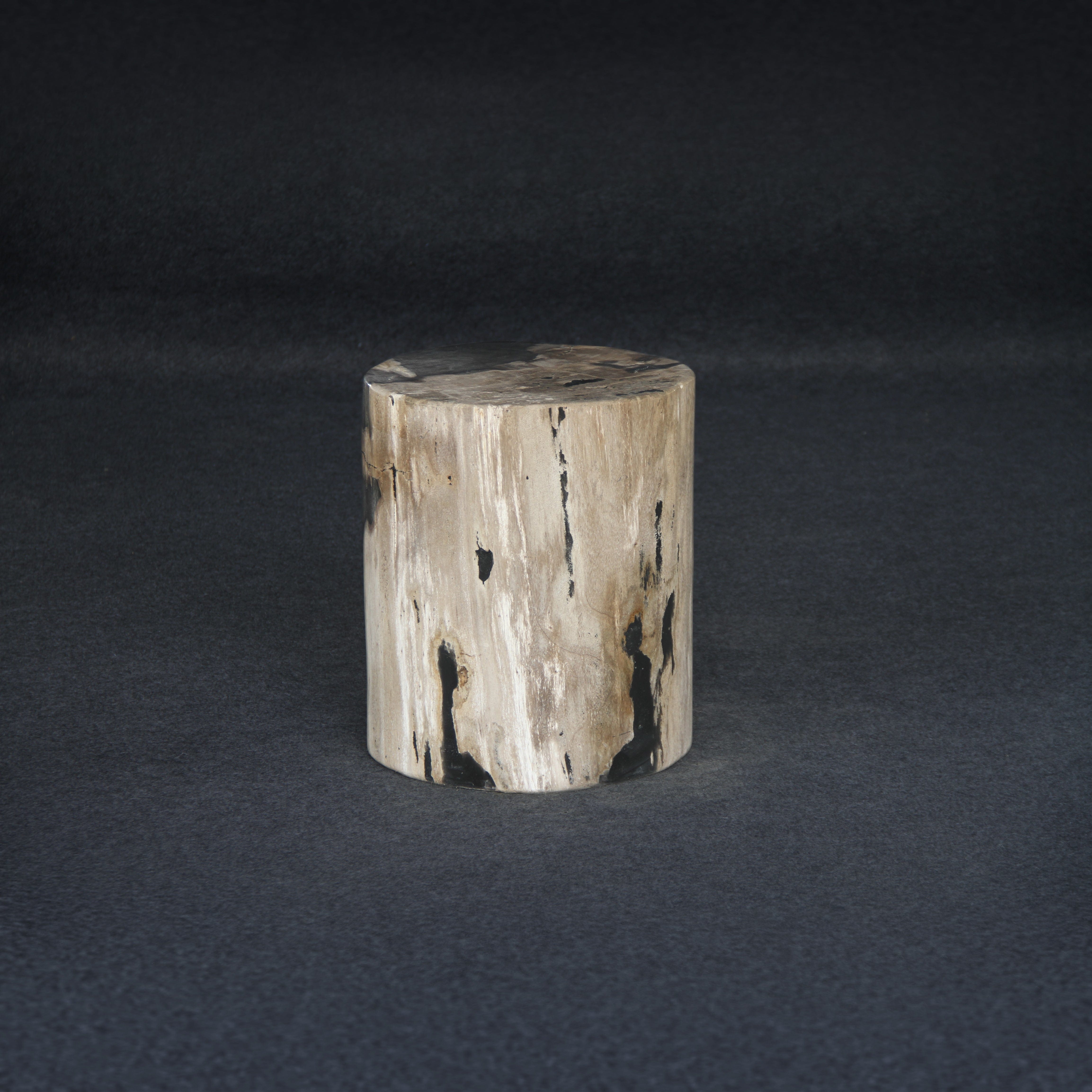 Kalifano Petrified Wood Petrified Wood Round Stump / Stool 16" / 190lbs PWS3400.017