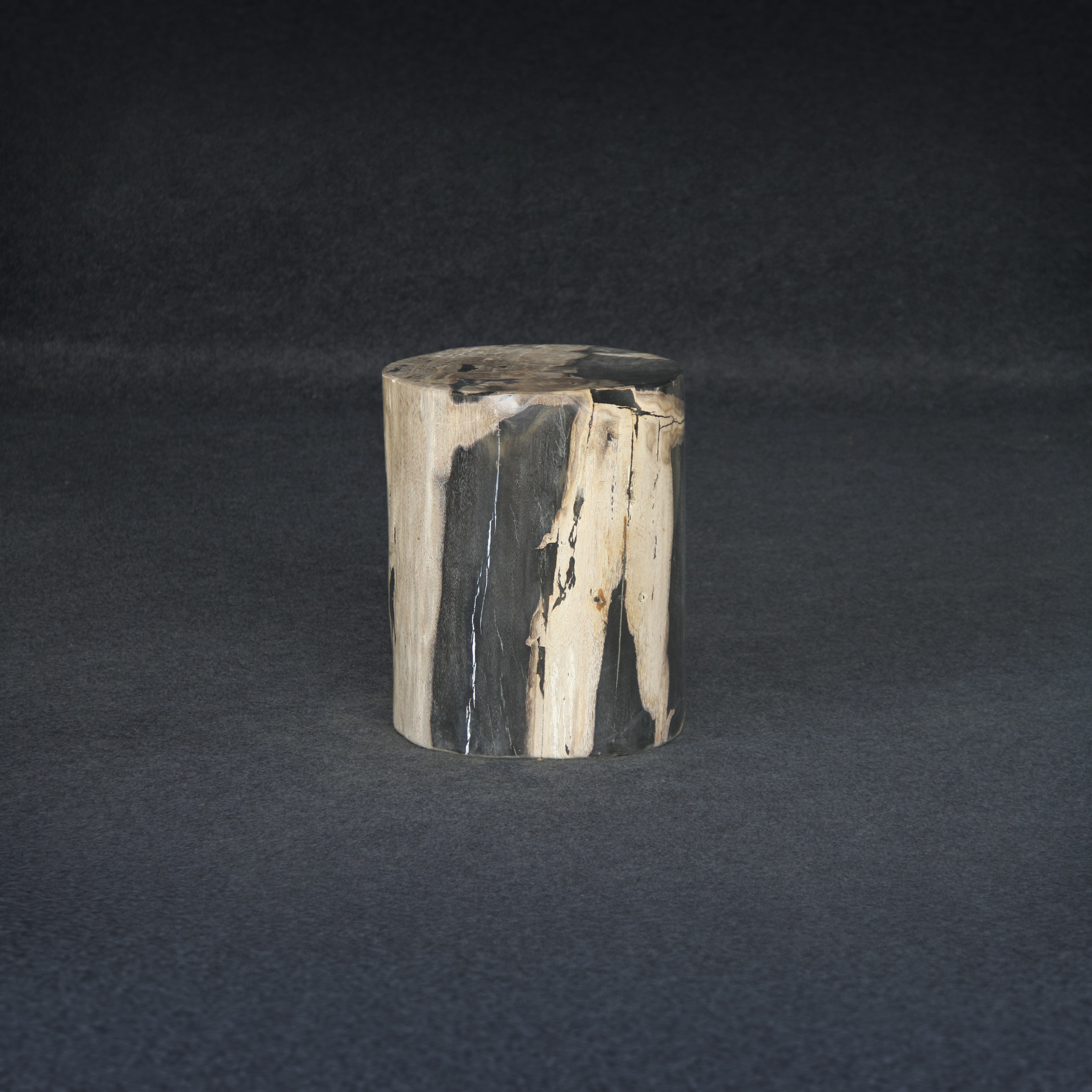 Kalifano Petrified Wood Petrified Wood Round Stump / Stool 16" / 190lbs PWS3400.017