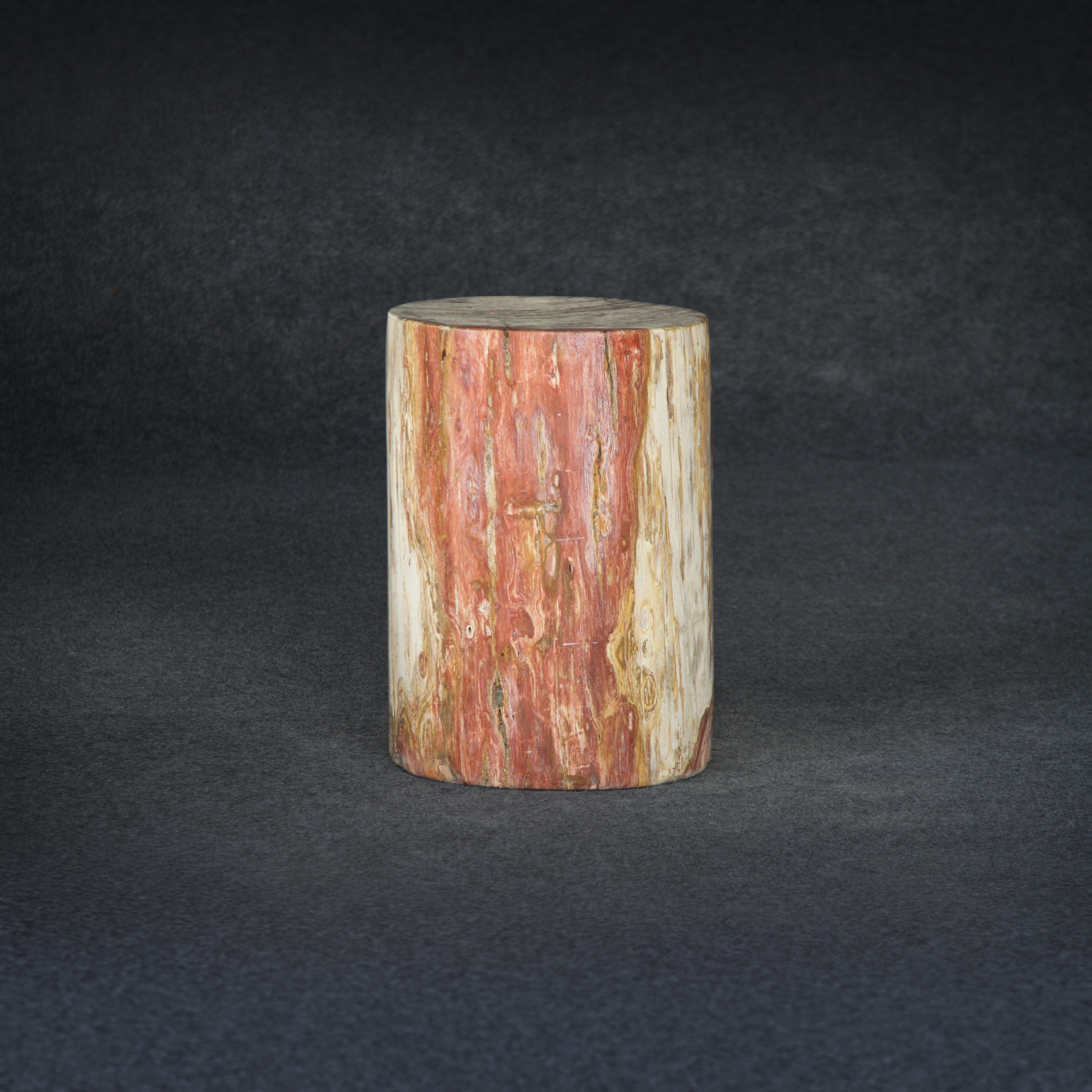 Kalifano Petrified Wood Petrified Wood Round Stump / Stool 16" / 192lbs PWS3600.009
