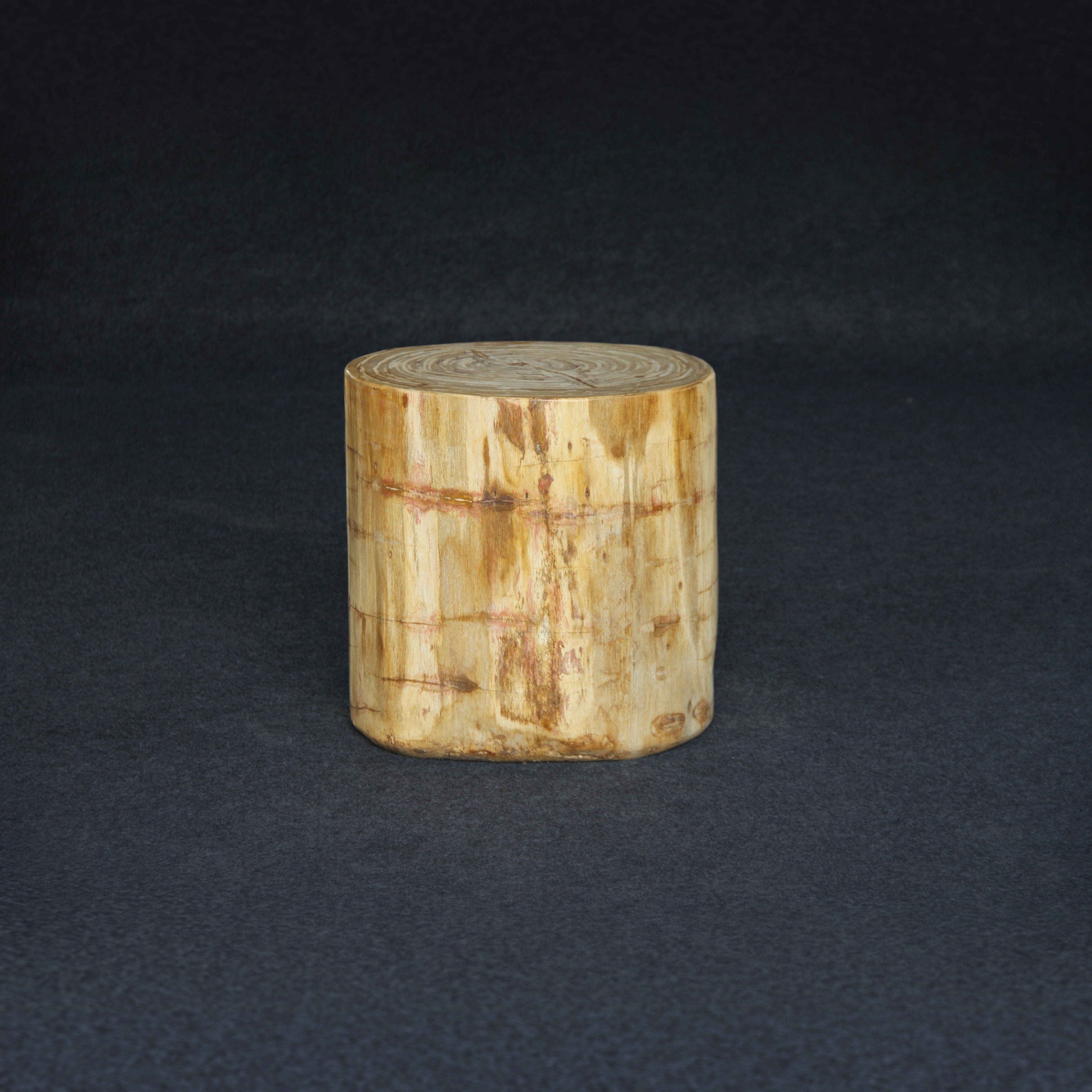 Kalifano Petrified Wood Petrified Wood Round Stump / Stool 16" / 198lbs PWS3600.006