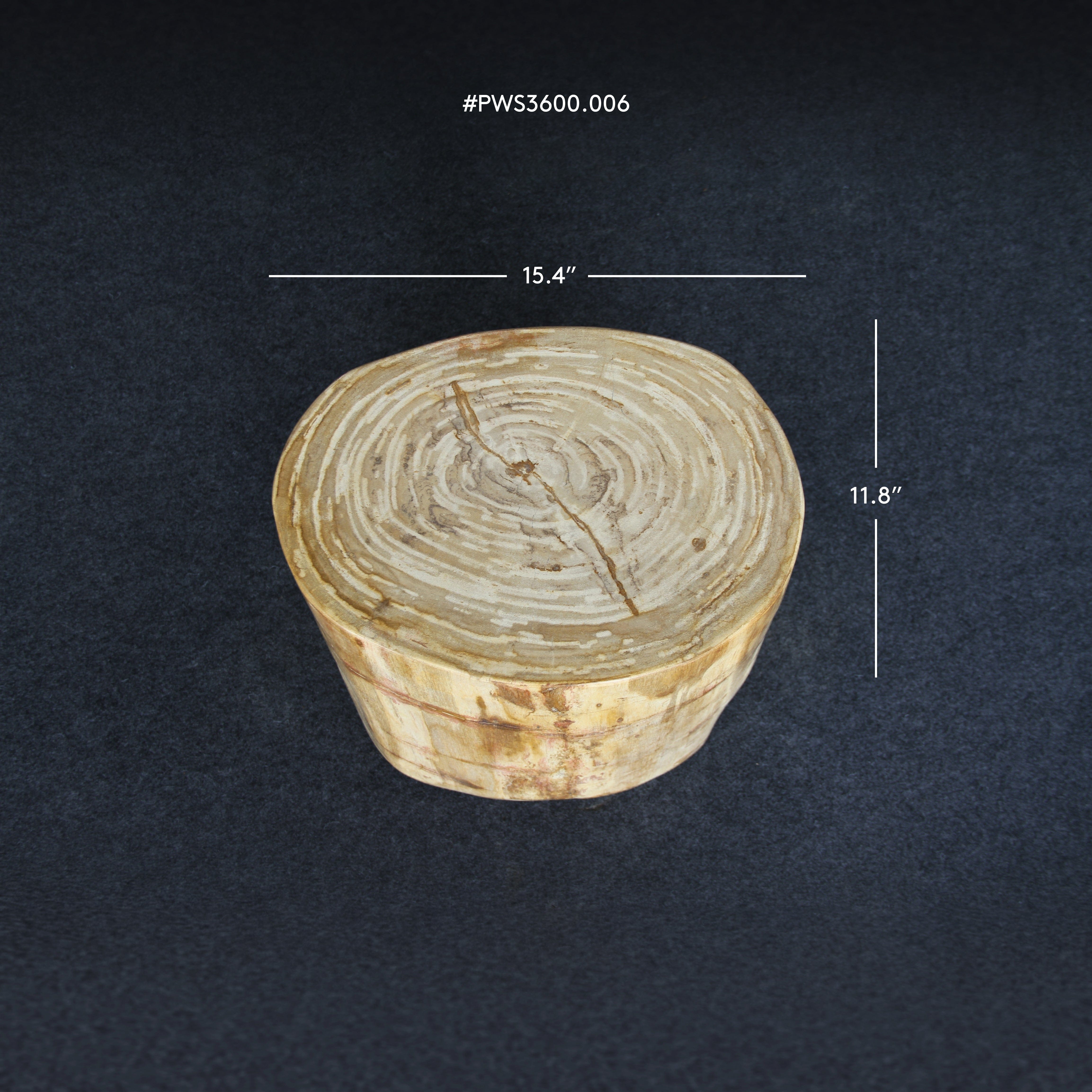 Kalifano Petrified Wood Petrified Wood Round Stump / Stool 16" / 198lbs PWS3600.006