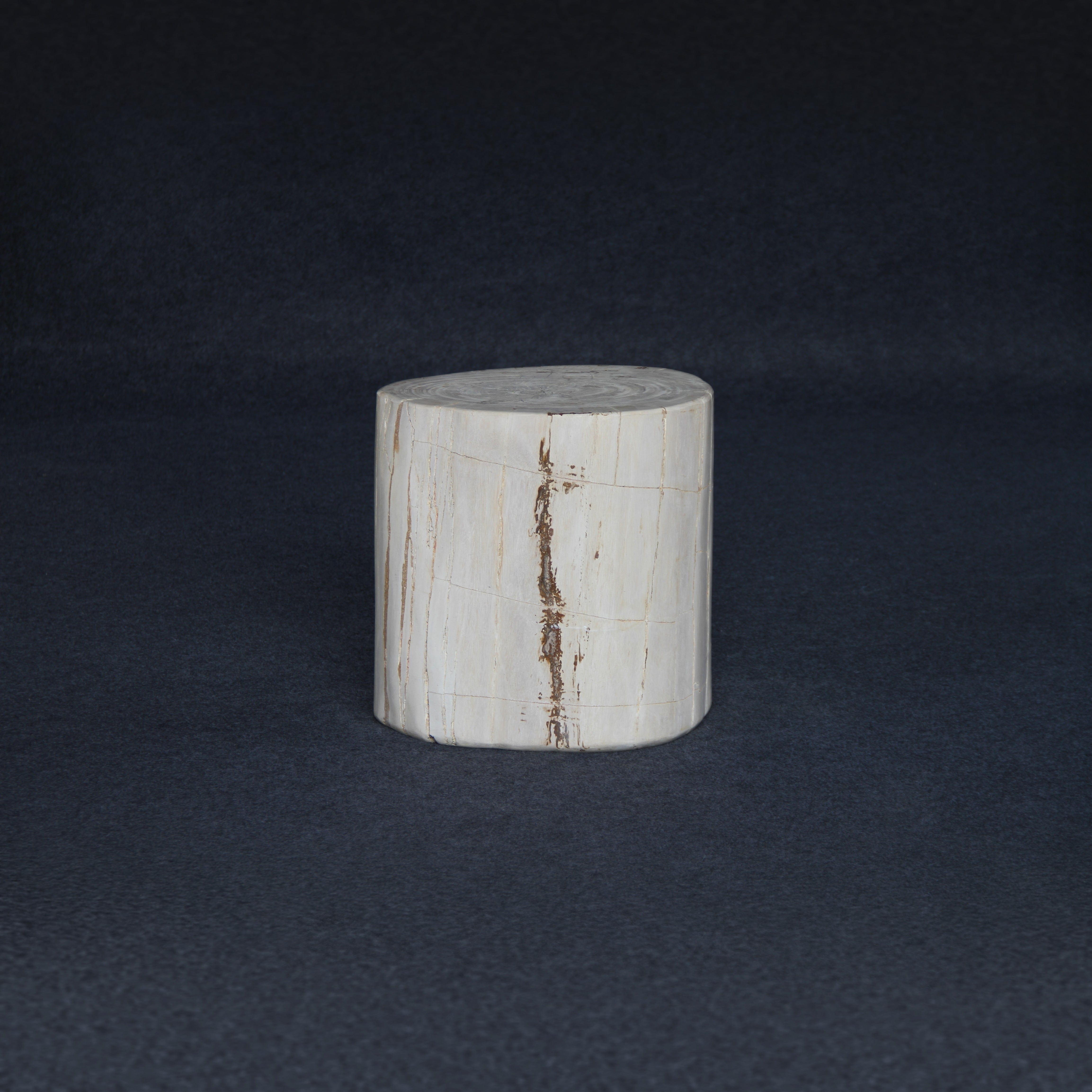 Kalifano Petrified Wood Petrified Wood Round Stump / Stool 16" / 198lbs PWS3600.007