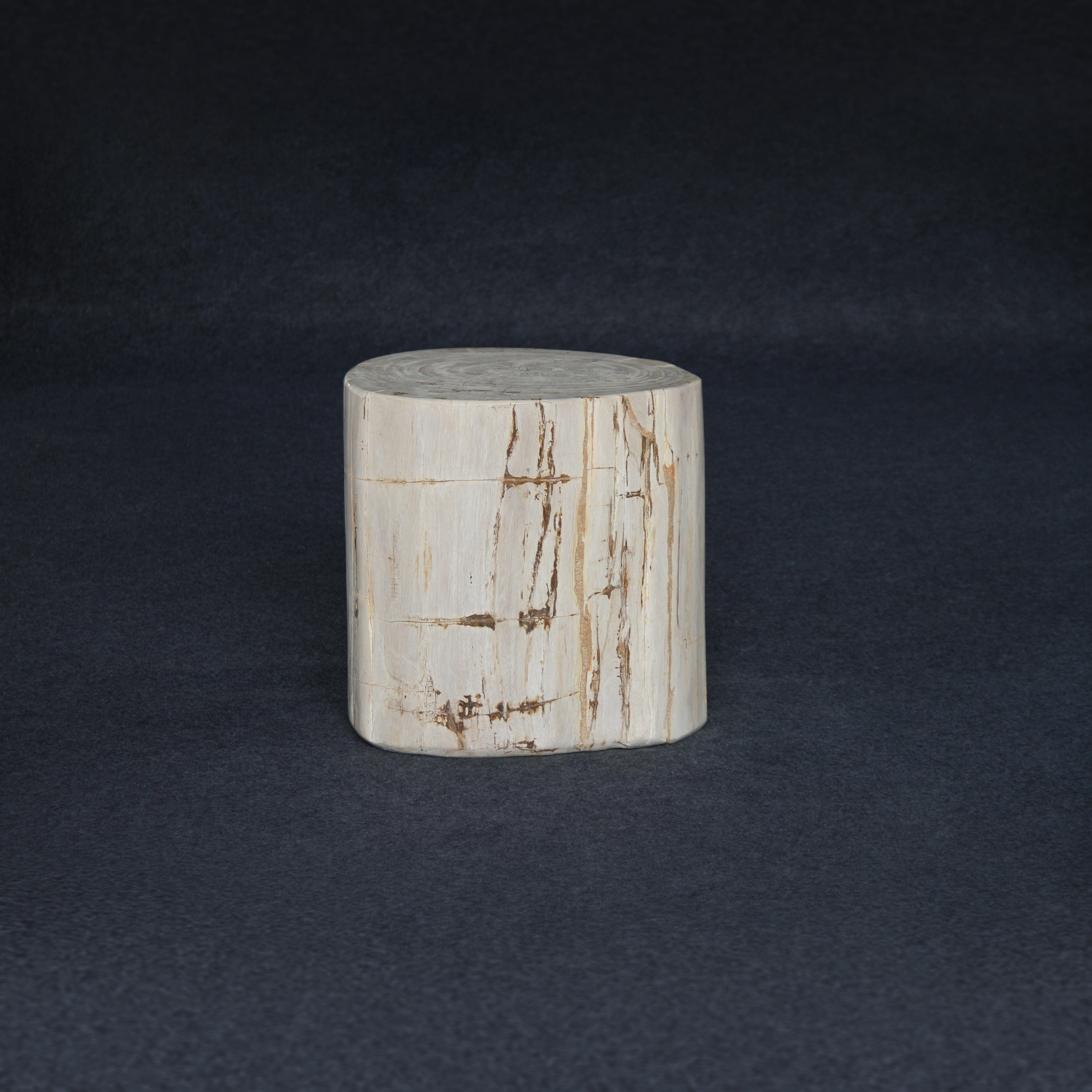 Kalifano Petrified Wood Petrified Wood Round Stump / Stool 16" / 198lbs PWS3600.007