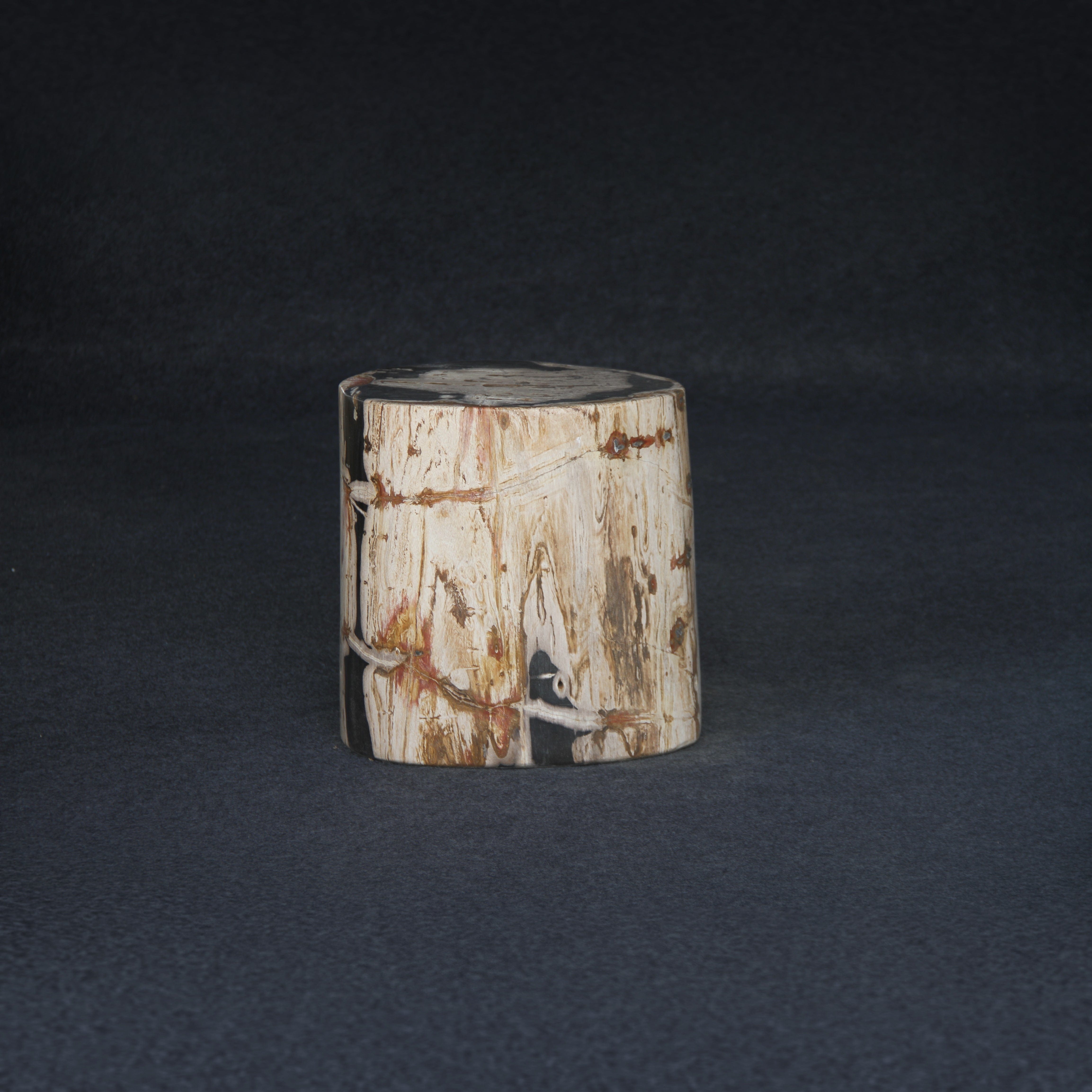 Kalifano Petrified Wood Petrified Wood Round Stump / Stool 16" / 201lbs PWS3600.008