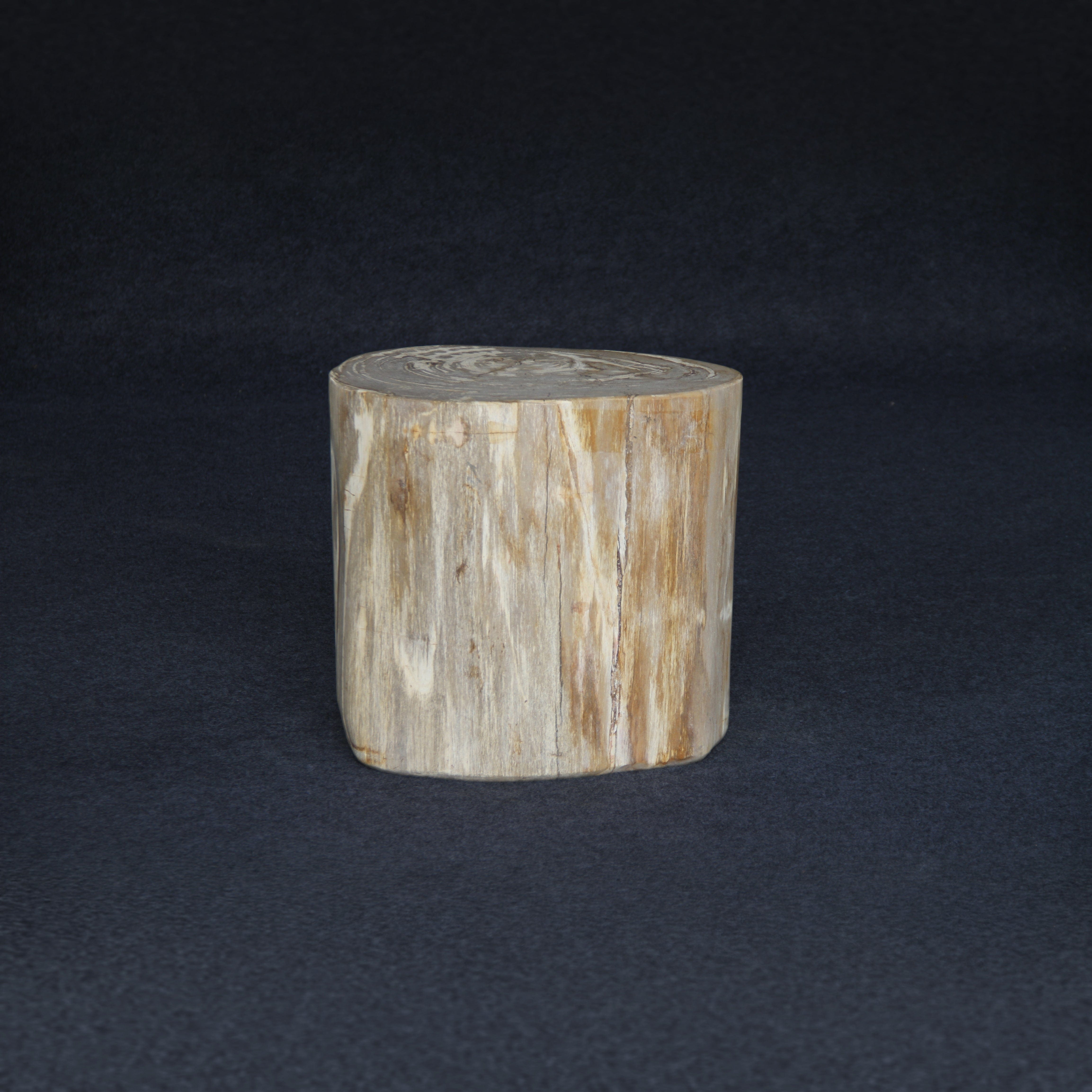 Kalifano Petrified Wood Petrified Wood Round Stump / Stool 16" / 212lbs PWS3800.006