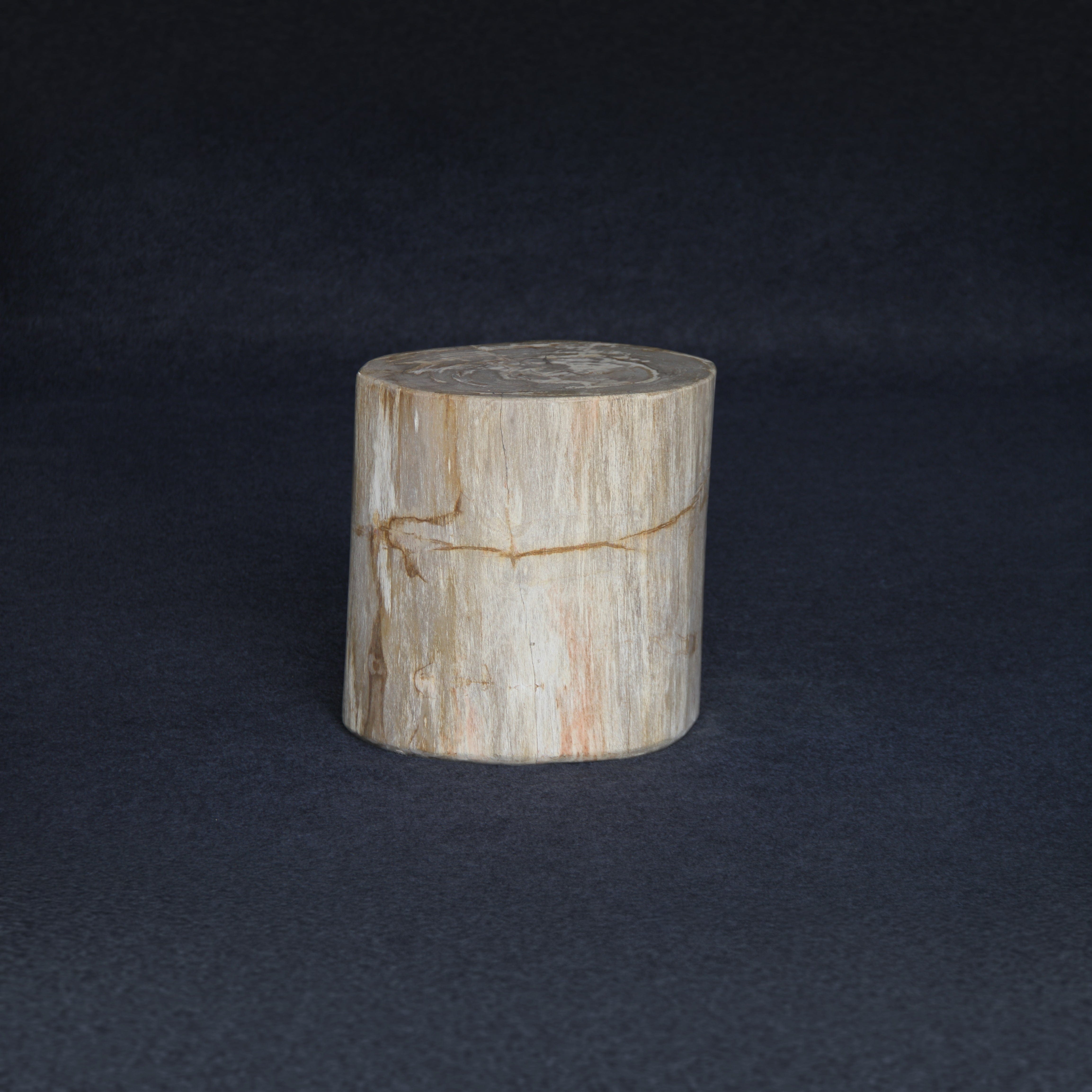 Kalifano Petrified Wood Petrified Wood Round Stump / Stool 16" / 216lbs PWS4000.004