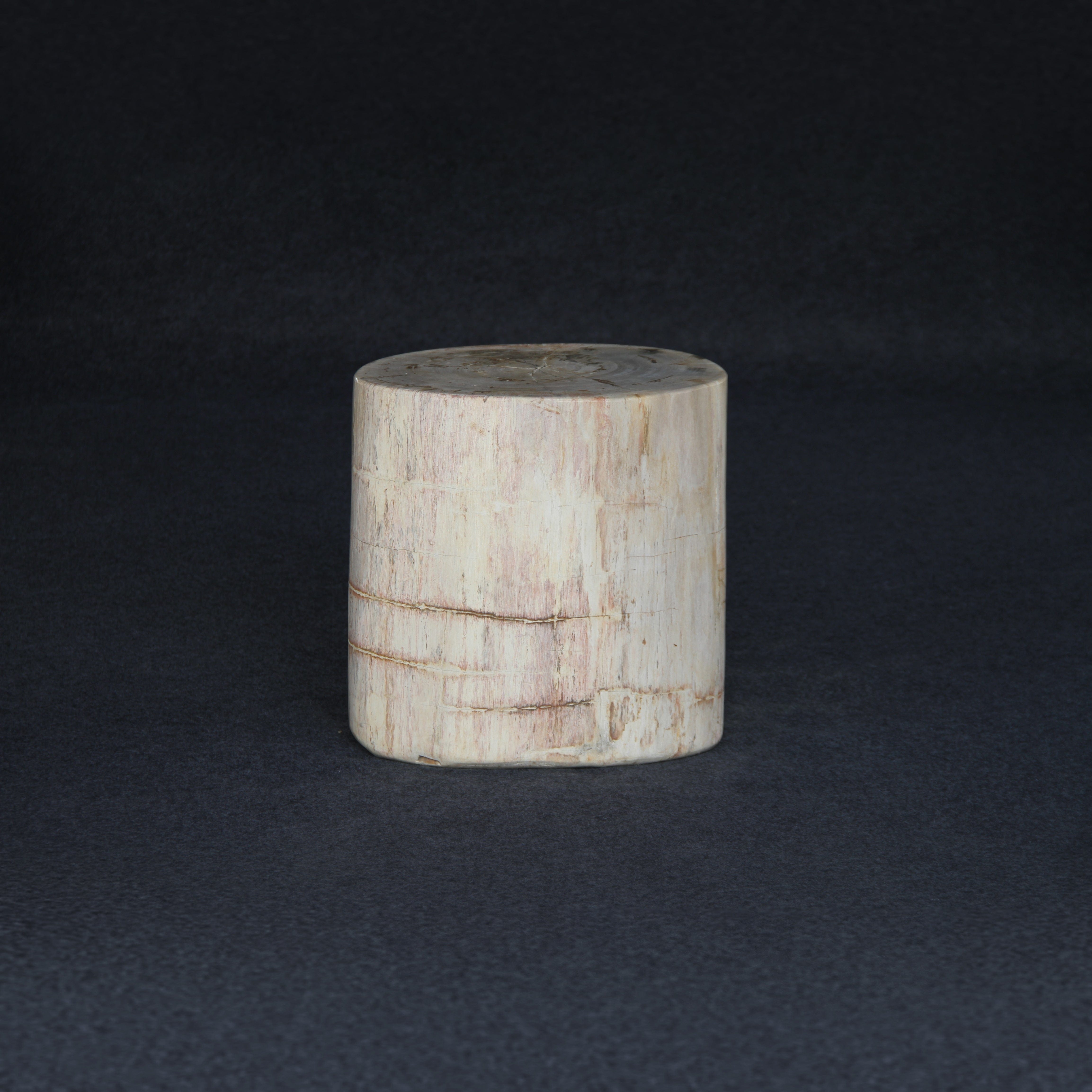 Kalifano Petrified Wood Petrified Wood Round Stump / Stool 16" / 216lbs PWS4000.005