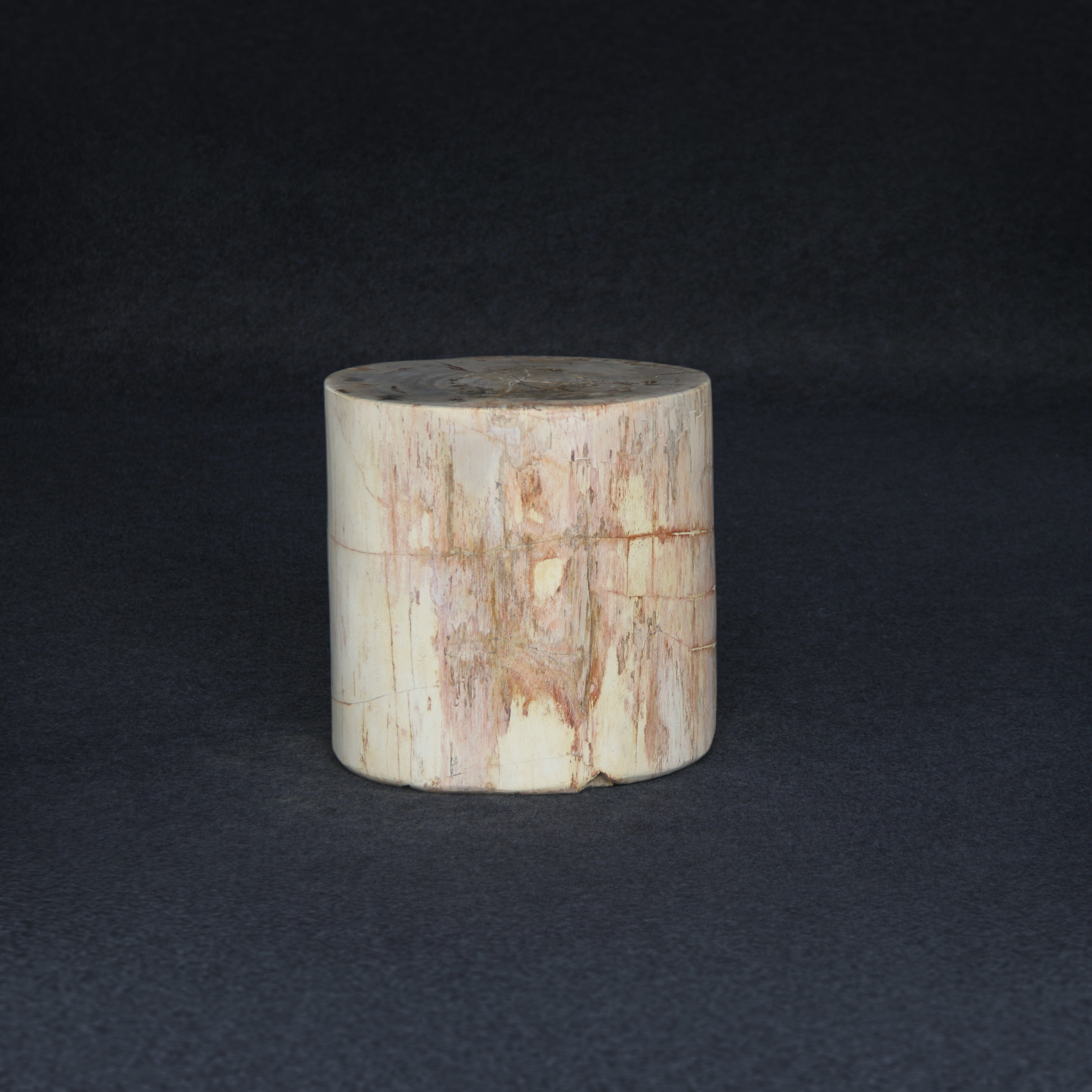 Kalifano Petrified Wood Petrified Wood Round Stump / Stool 16" / 216lbs PWS4000.005