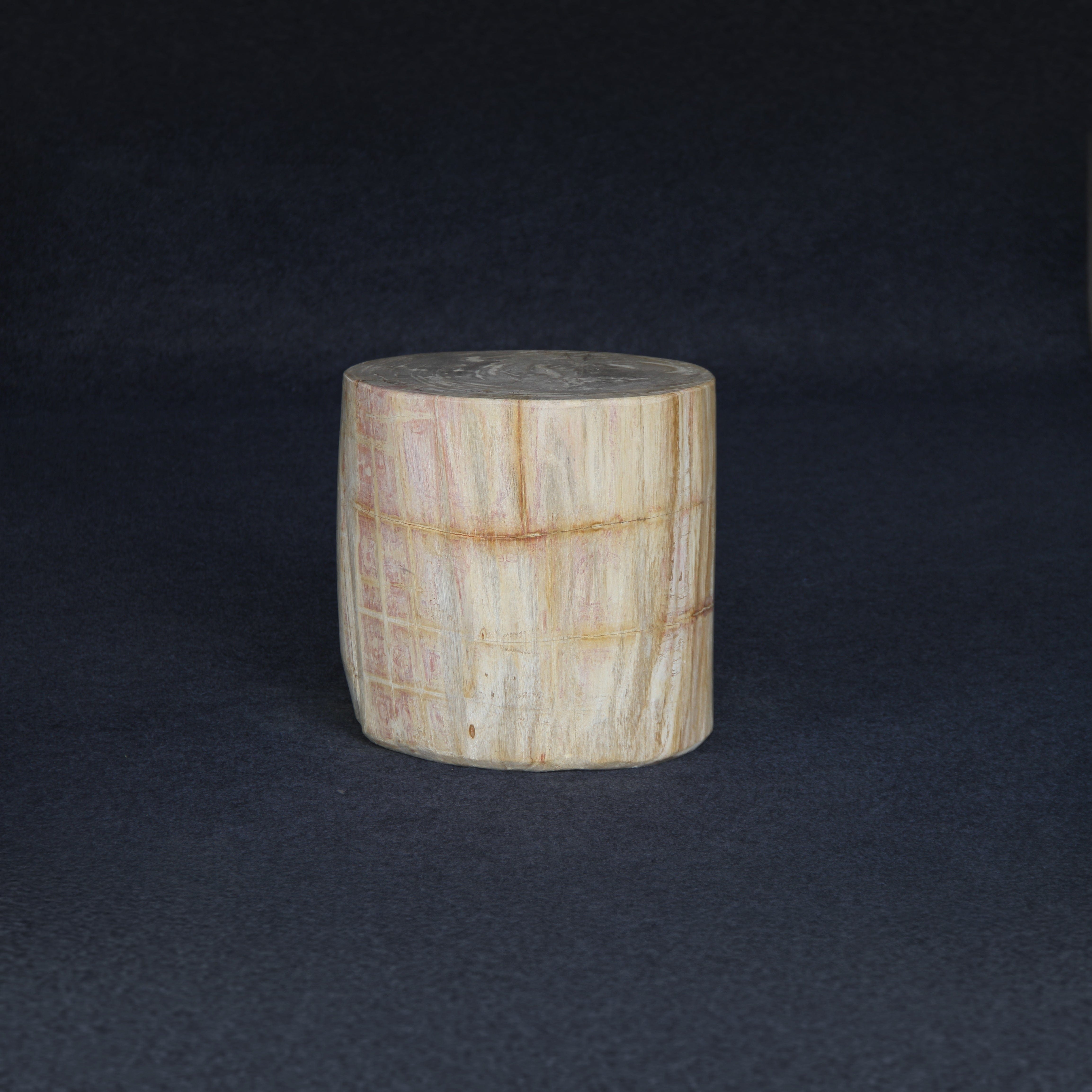 Kalifano Petrified Wood Petrified Wood Round Stump / Stool 16" / 227lbs PWS4200.006