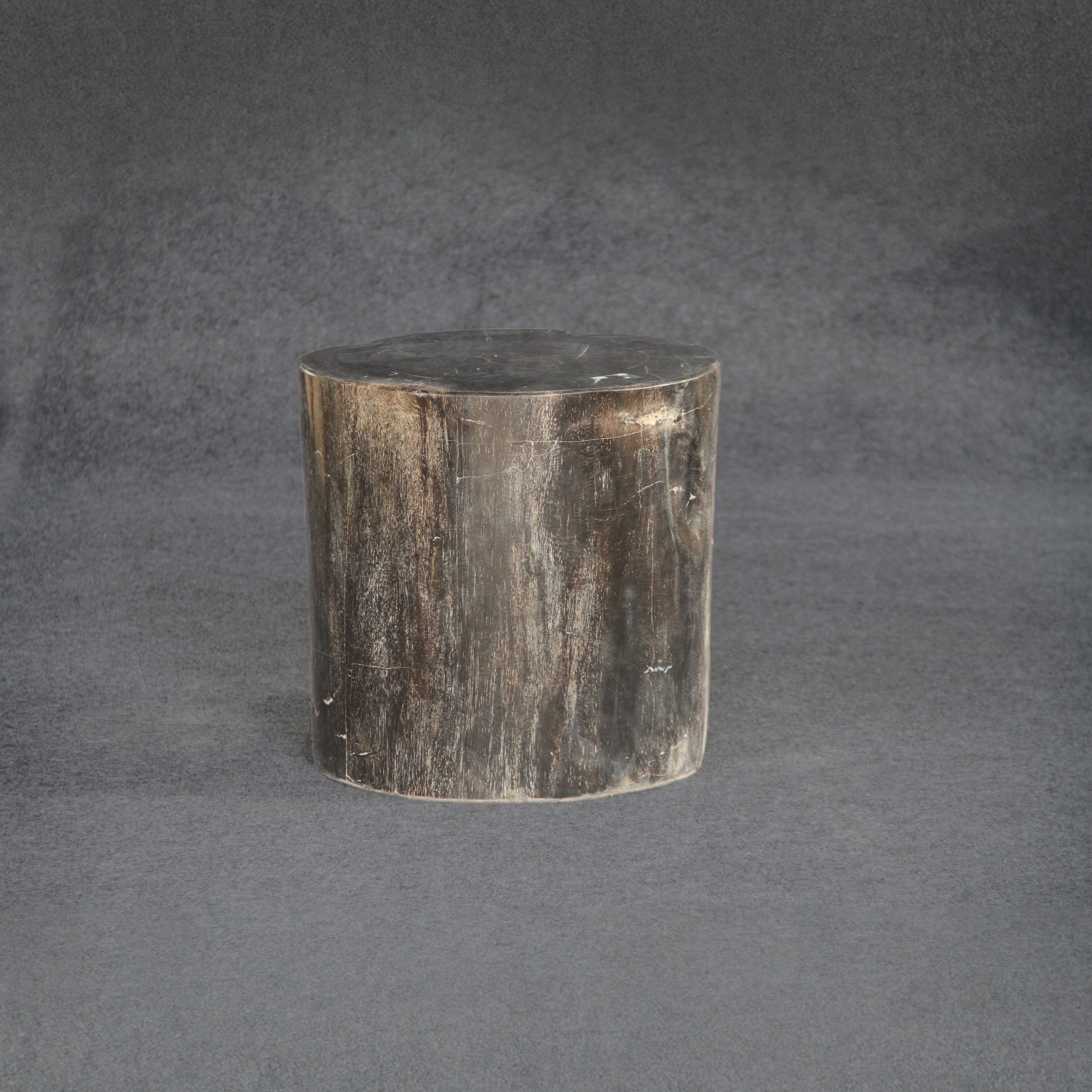Kalifano Petrified Wood Petrified Wood Round Stump / Stool 16" / 234lbs PWS4200.008