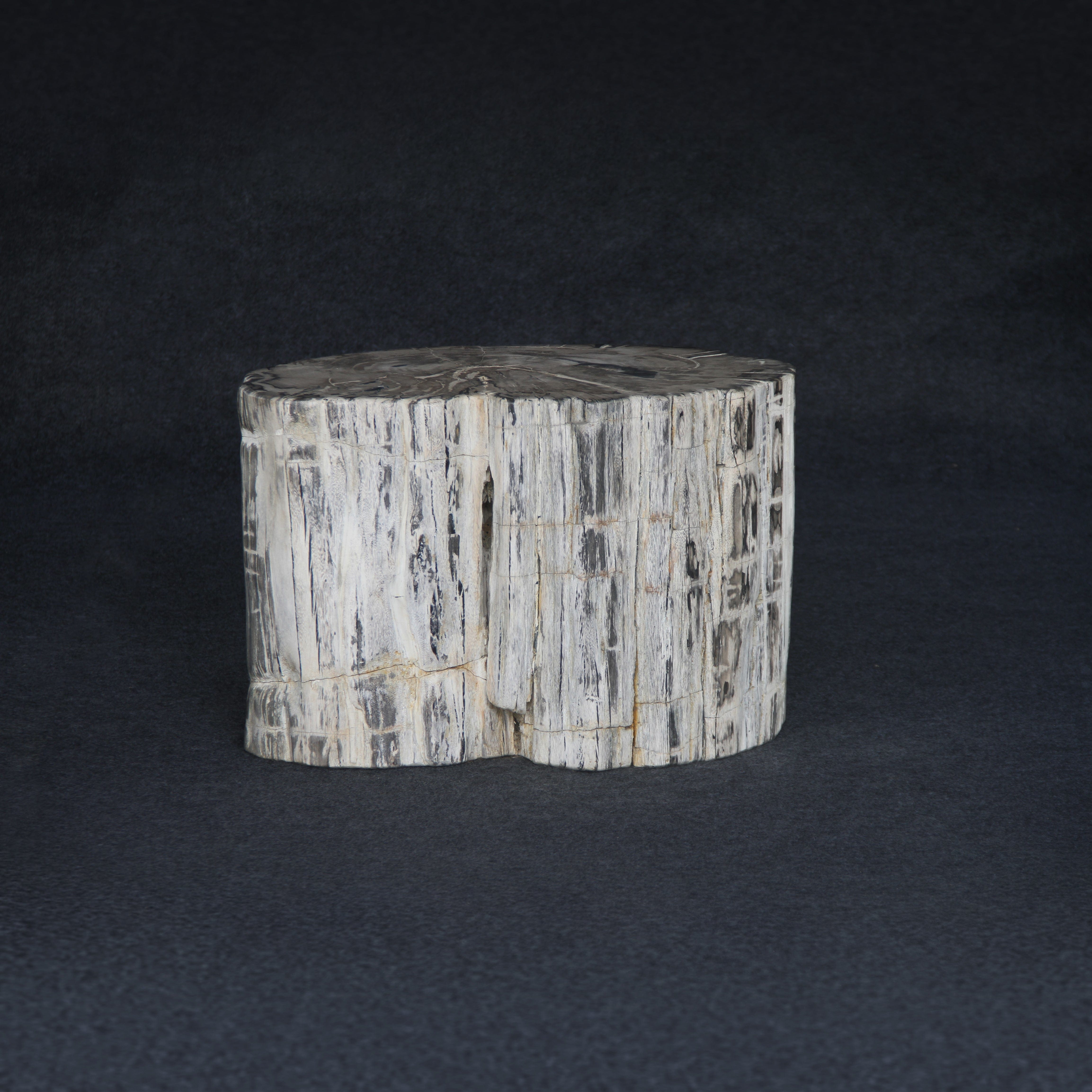 Kalifano Petrified Wood Petrified Wood Round Stump / Stool 16" / 404lbs PWS7200.001