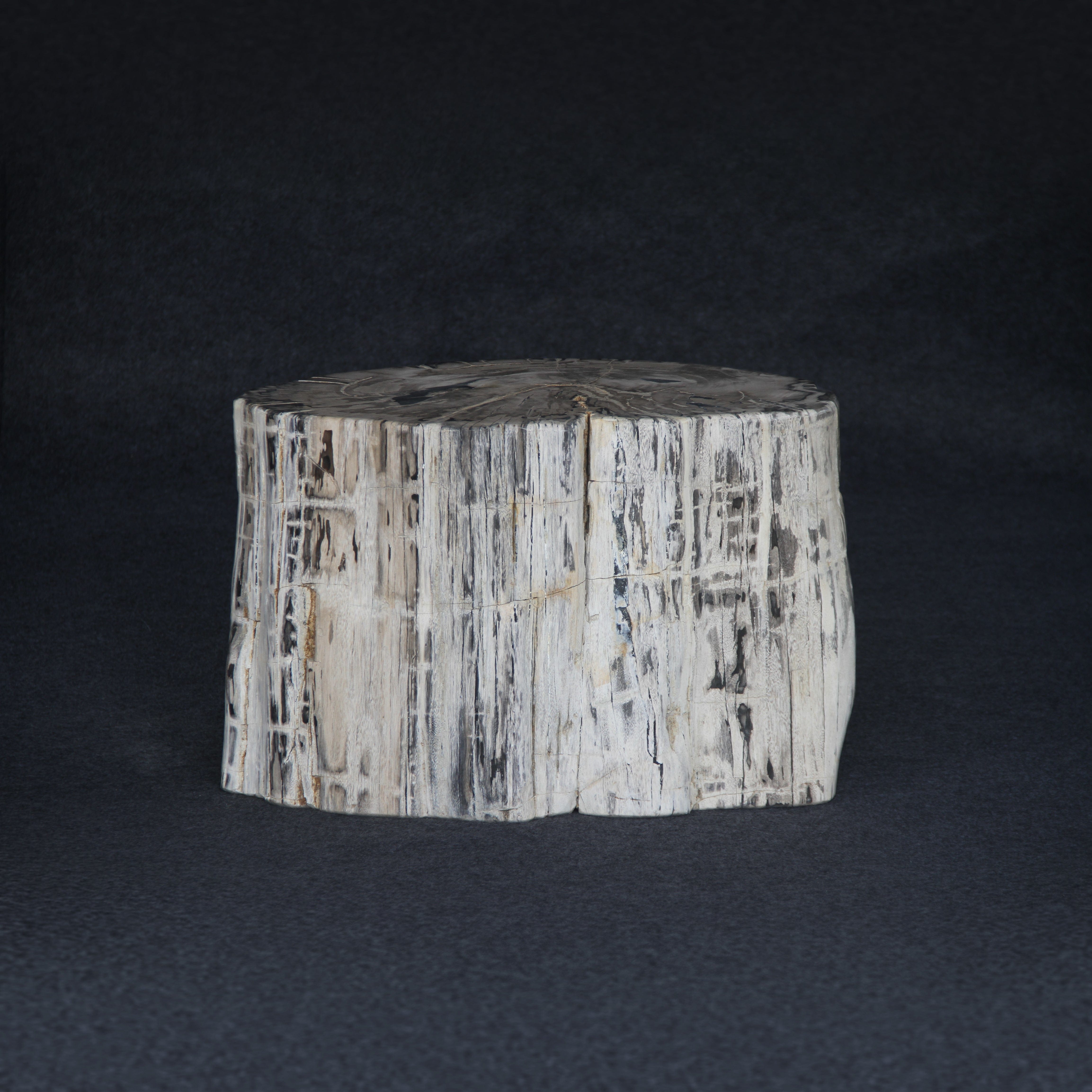 Kalifano Petrified Wood Petrified Wood Round Stump / Stool 16" / 421lbs PWS7600.001