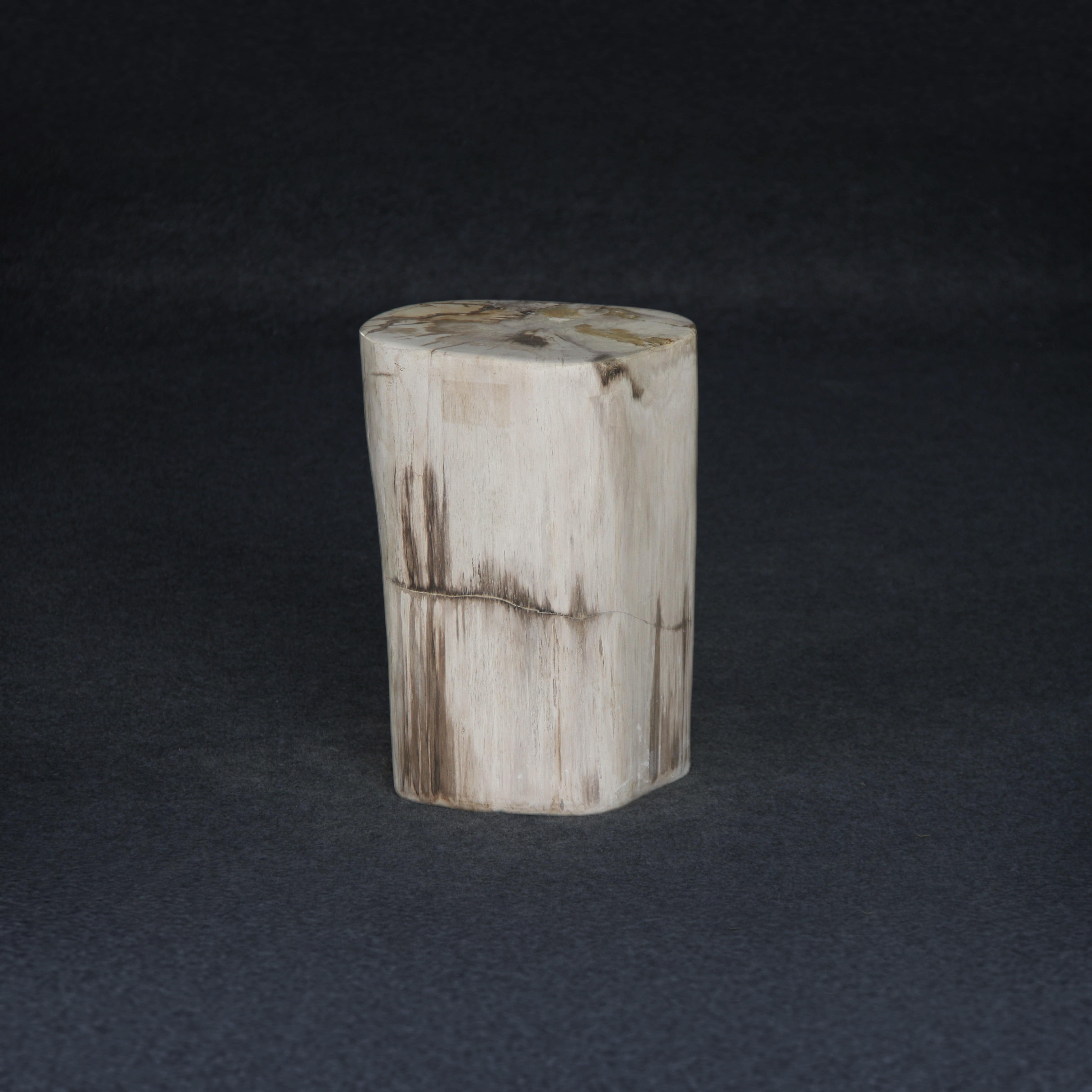 Kalifano Petrified Wood Petrified Wood Round Stump / Stool 16" / 86lbs PWS1600.001