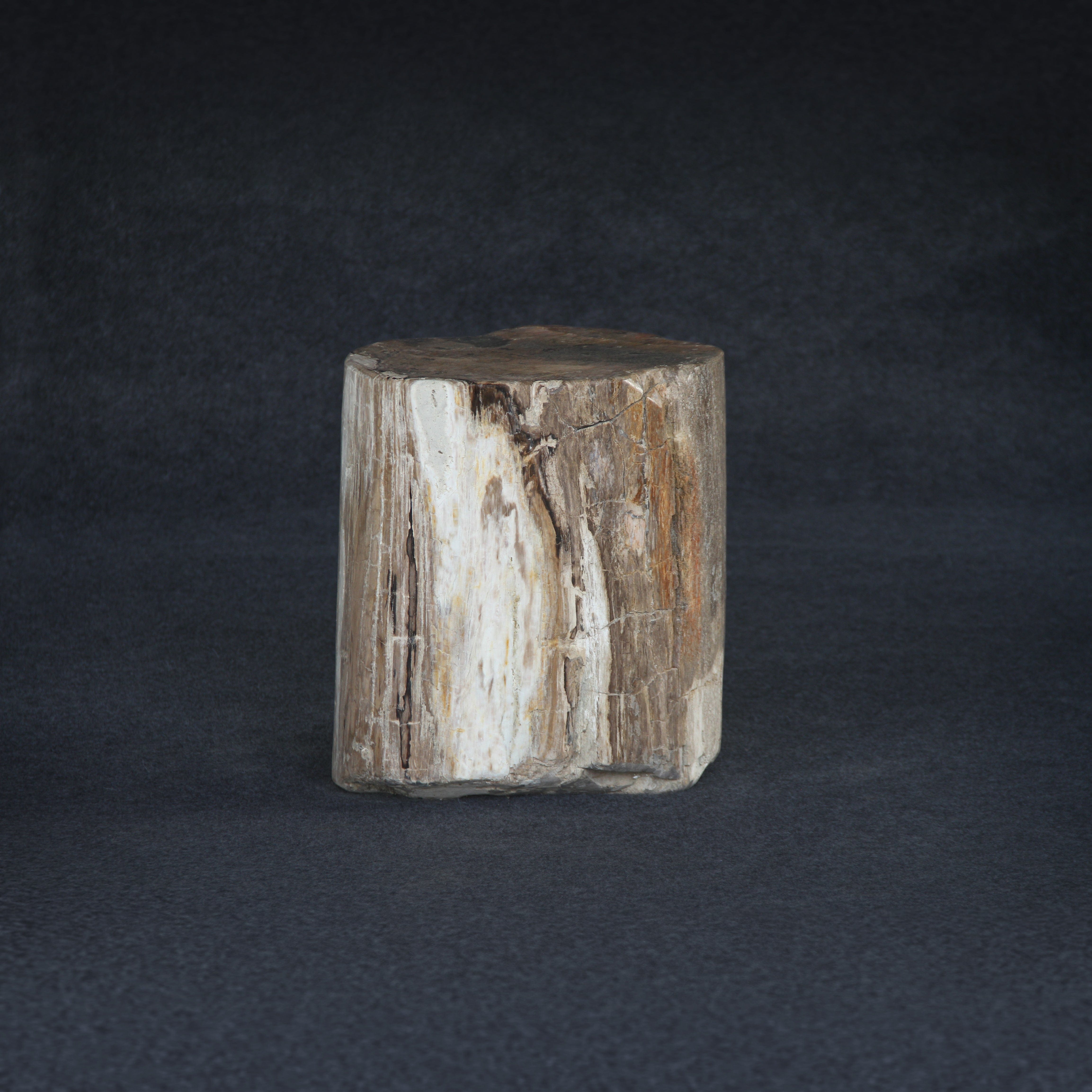Kalifano Petrified Wood Petrified Wood Round Stump / Stool 17" / 221lbs PWS4000.006