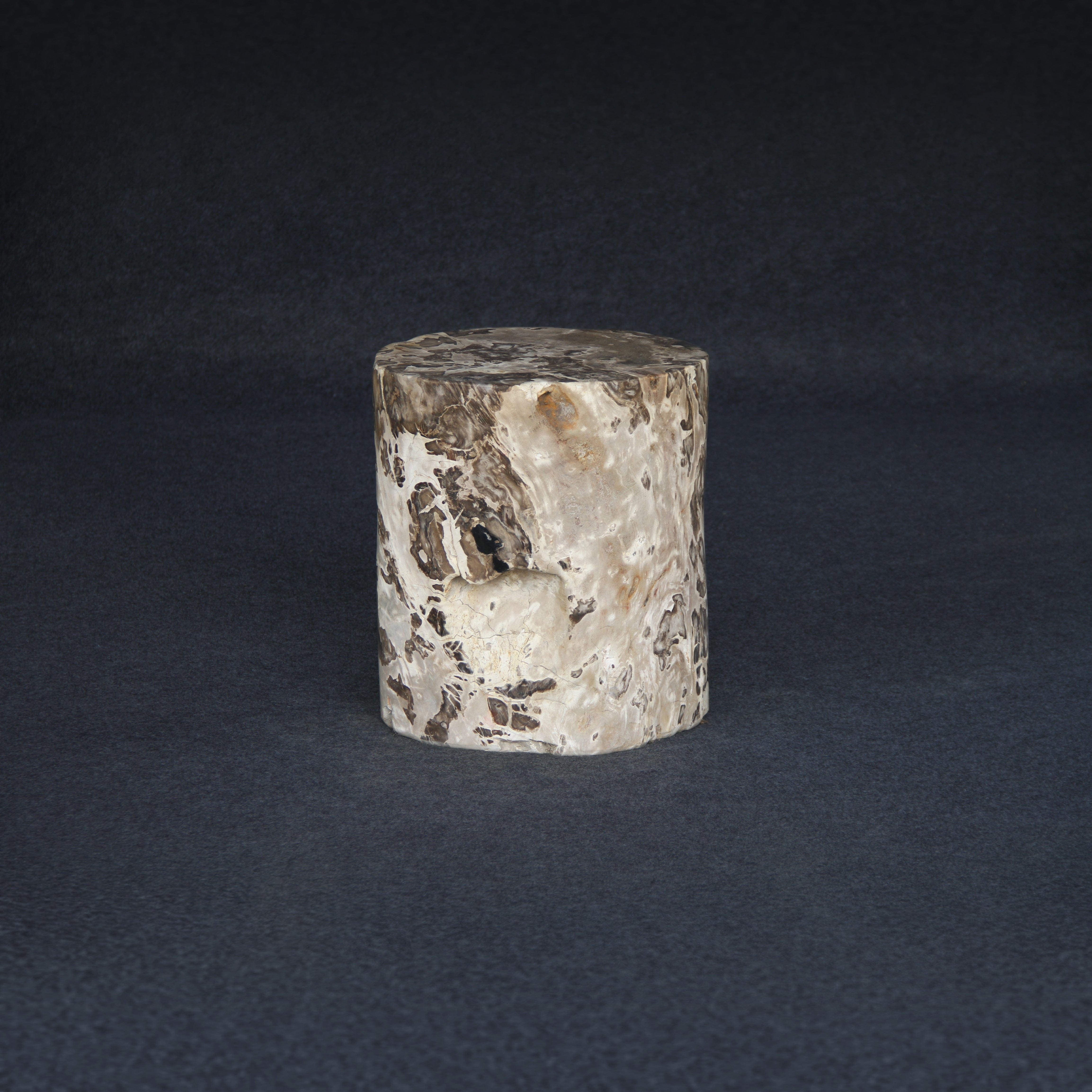 Kalifano Petrified Wood Petrified Wood Round Stump / Stool 17" / 232lbs PWS4200.007