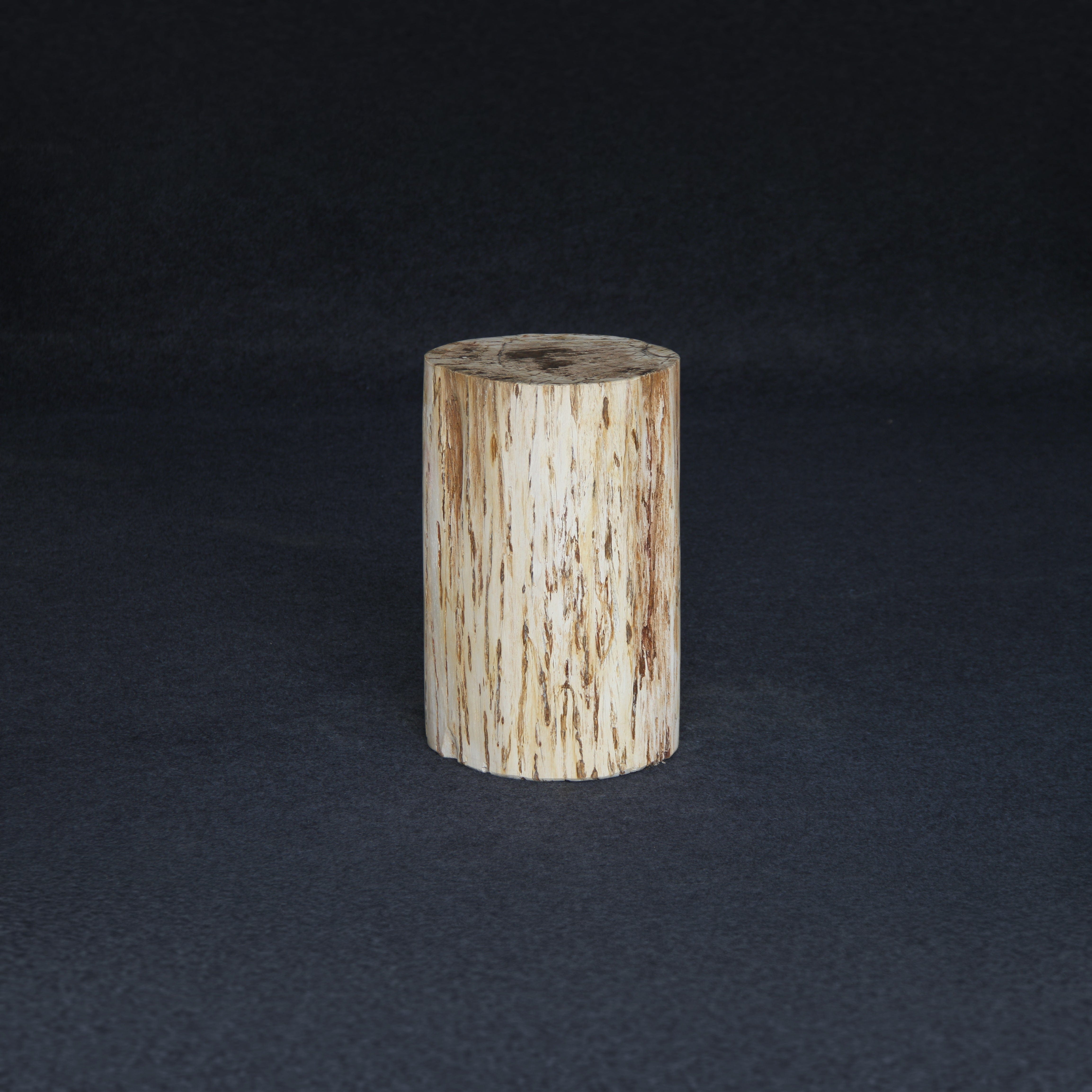 Kalifano Petrified Wood Petrified Wood Round Stump / Stool 18" / 117lbs PWS2200.006