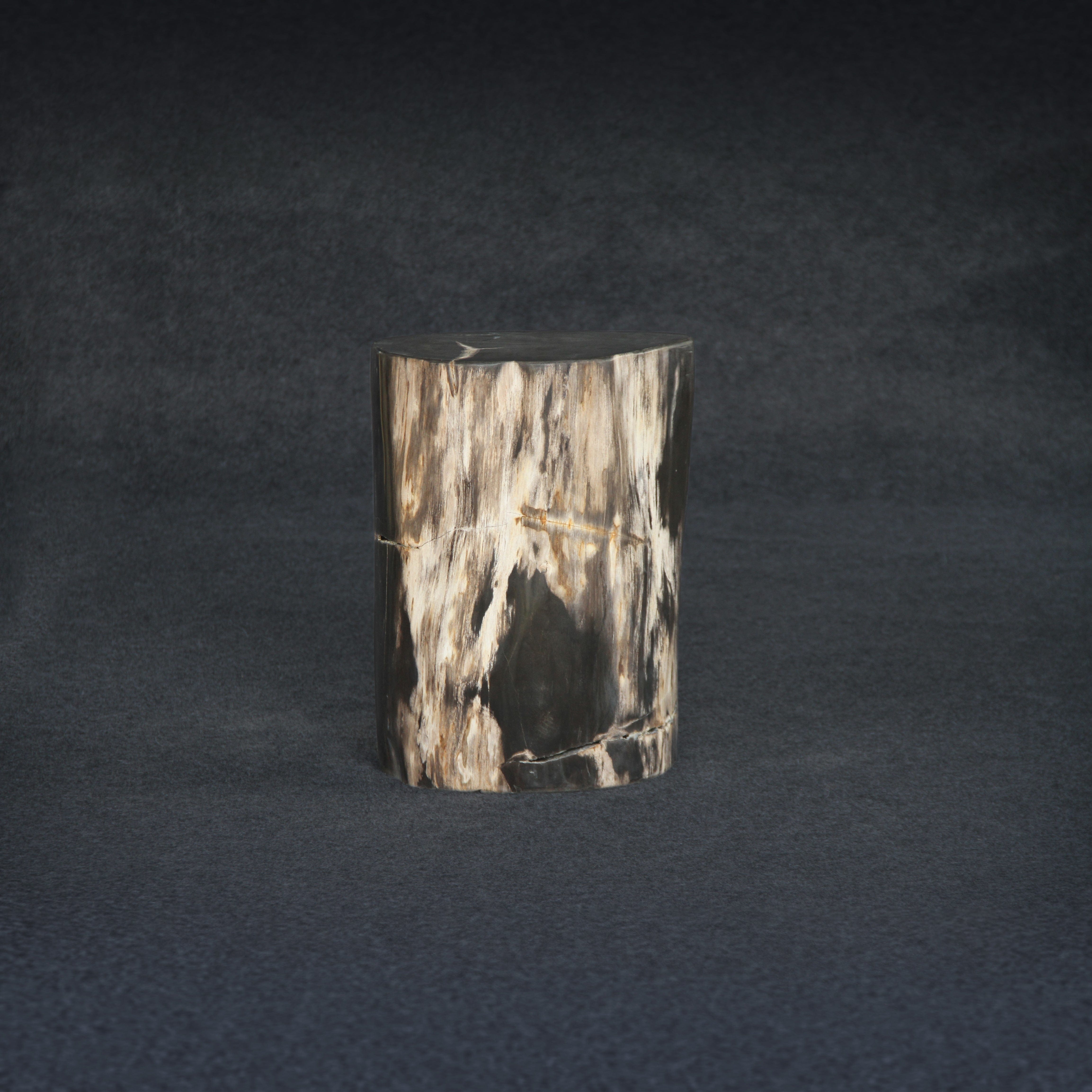 Kalifano Petrified Wood Petrified Wood Round Stump / Stool 18" / 121lbs PWS2200.007