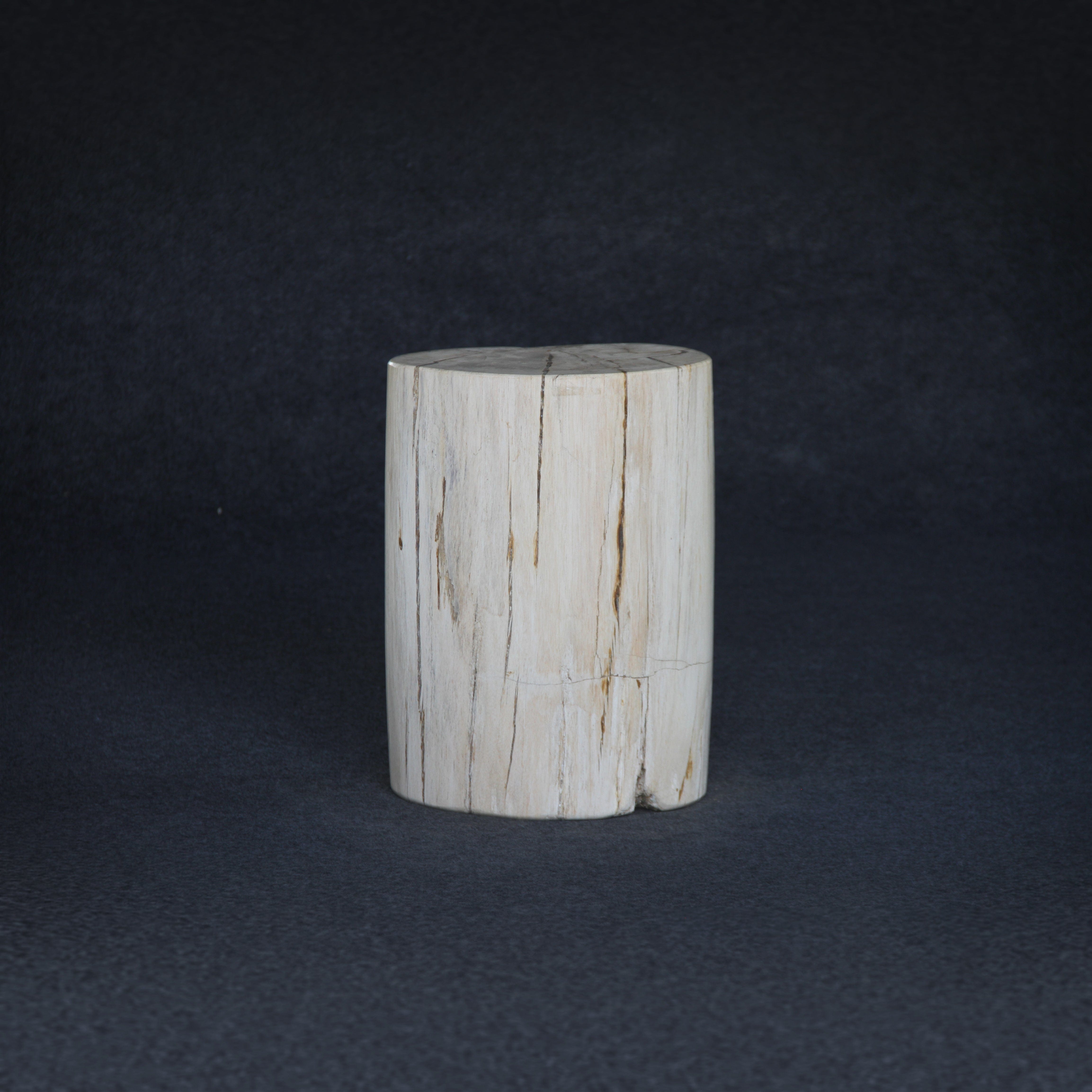 Kalifano Petrified Wood Petrified Wood Round Stump / Stool 18" / 137lbs PWS2600.009