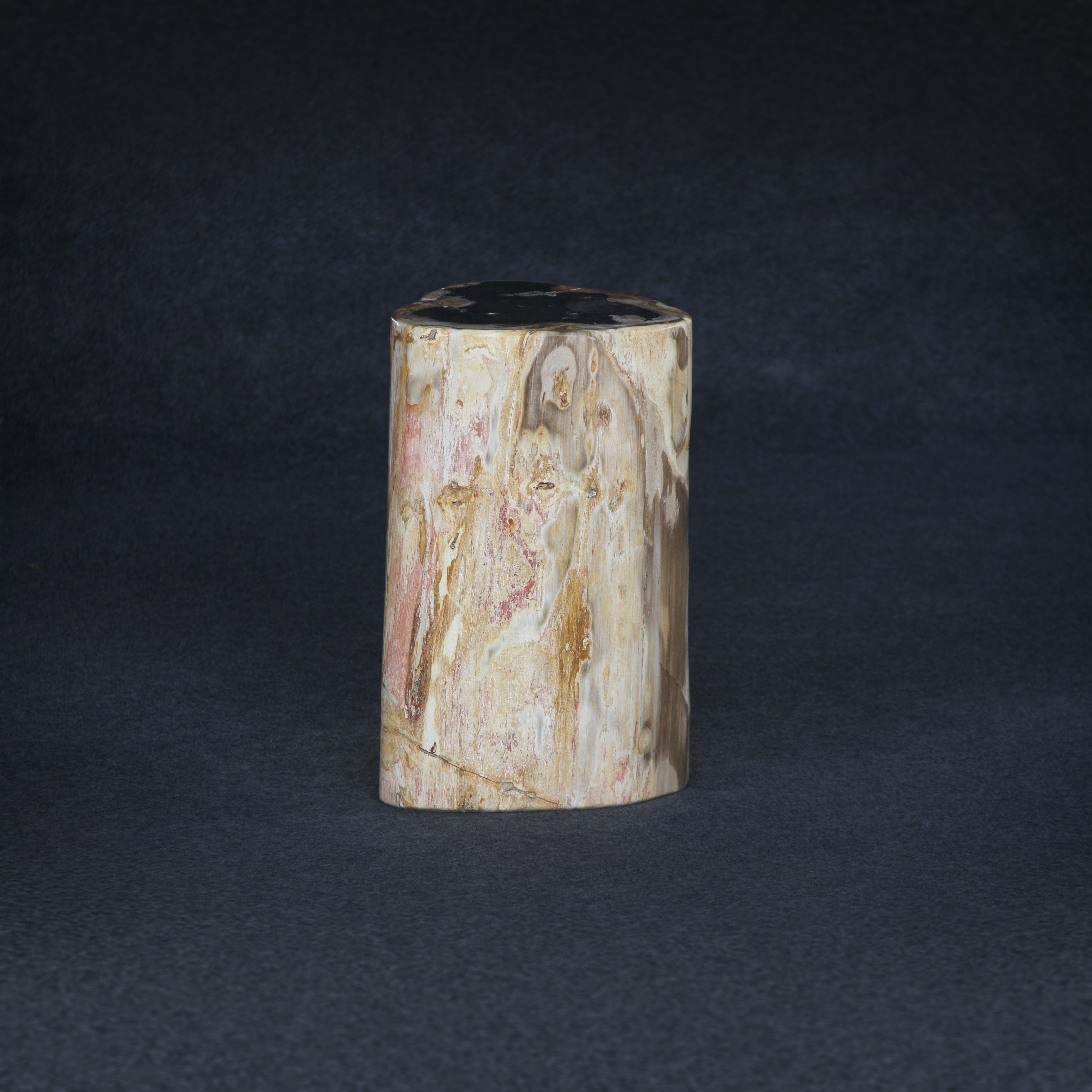 Kalifano Petrified Wood Petrified Wood Round Stump / Stool 18" / 139lbs PWS2600.010