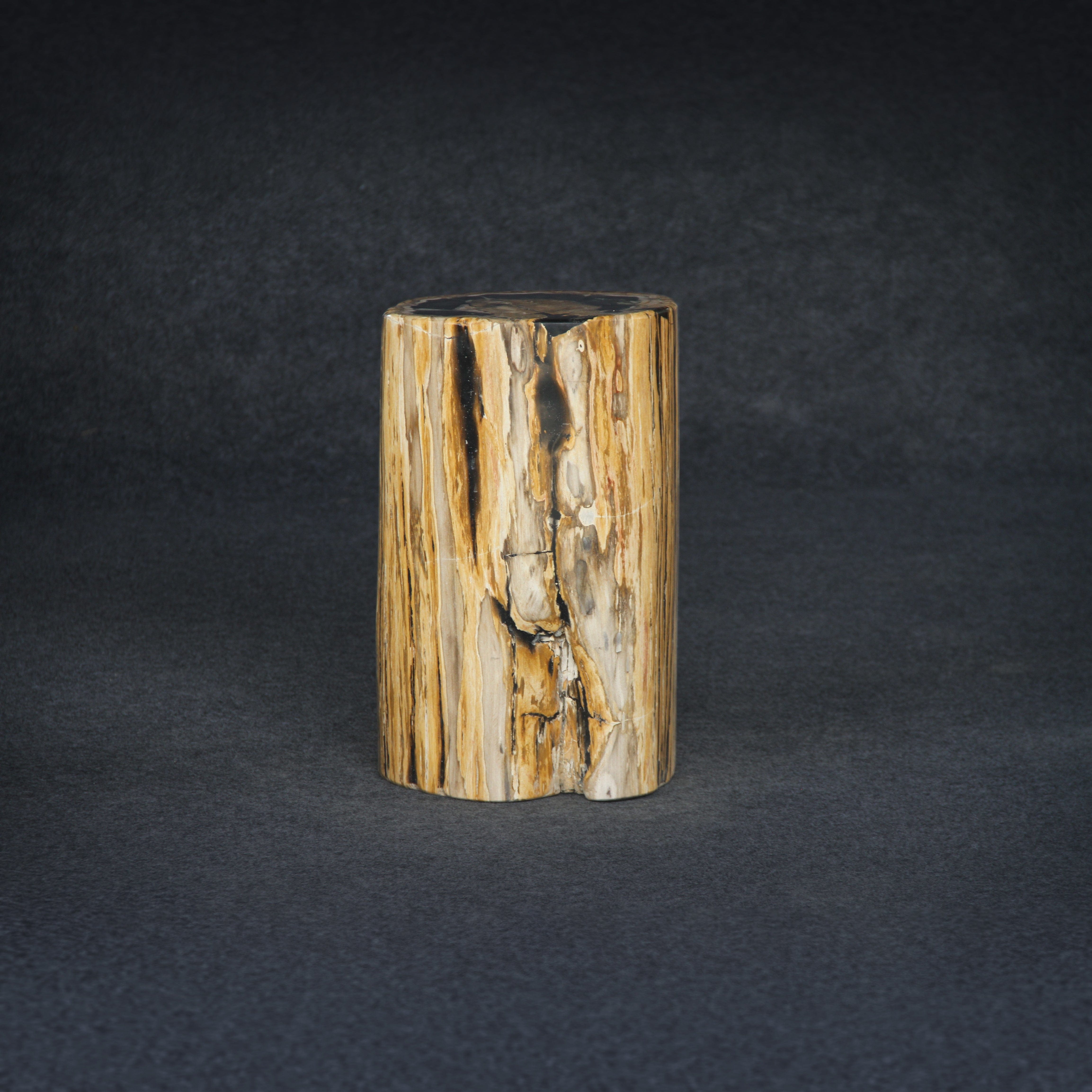 Kalifano Petrified Wood Petrified Wood Round Stump / Stool 18" / 143lbs PWS2600.011