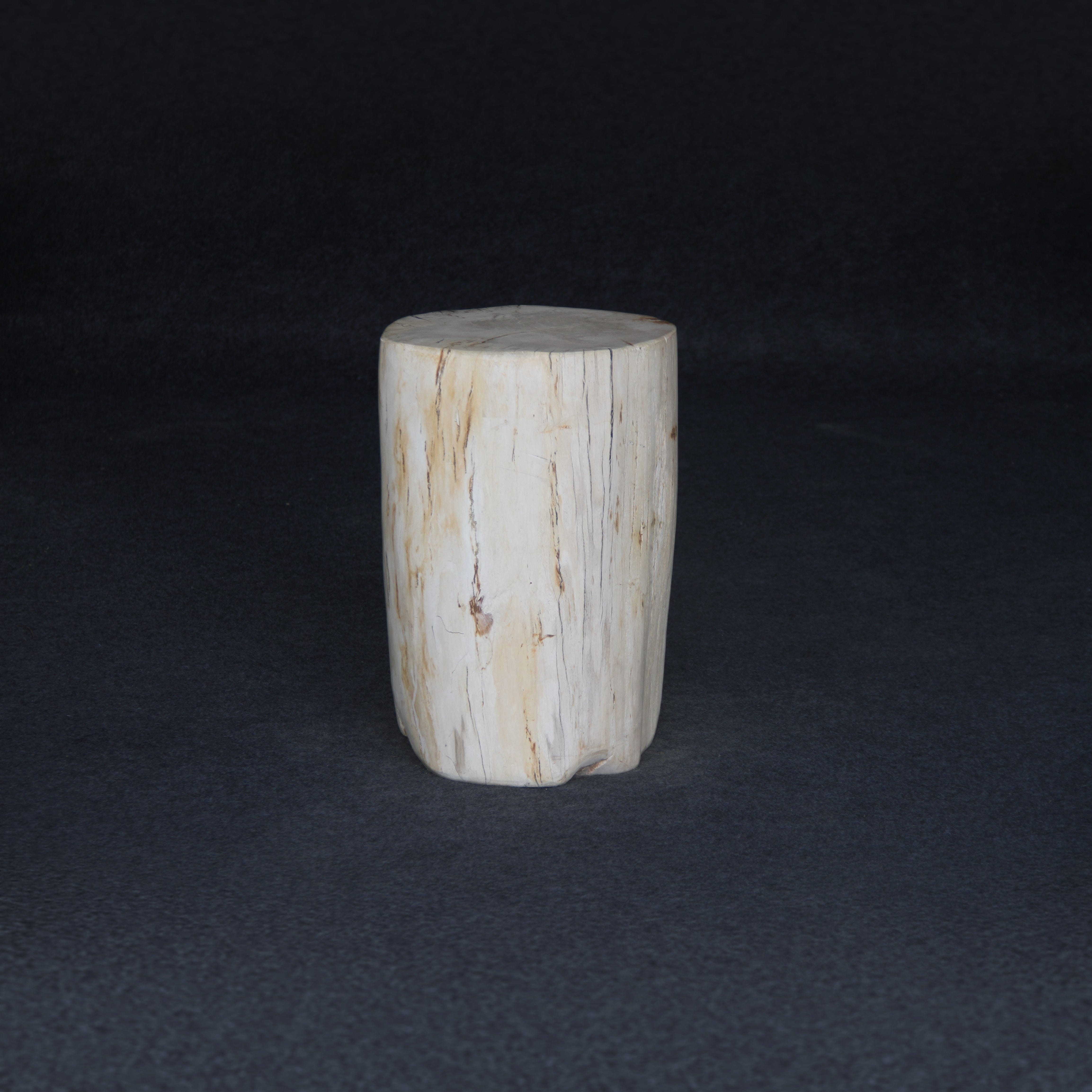 Kalifano Petrified Wood Petrified Wood Round Stump / Stool 18" / 148lbs PWS2800.013