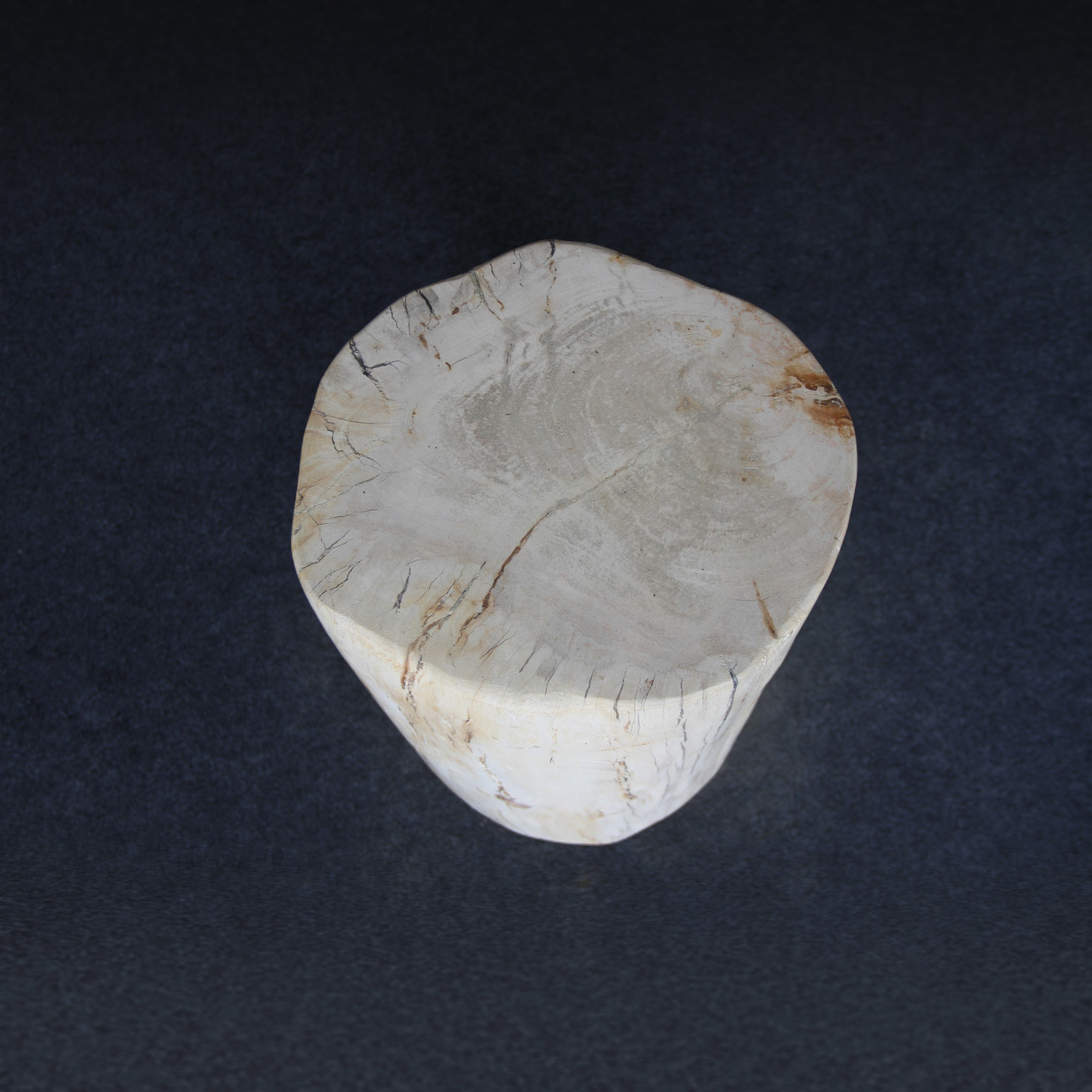 Kalifano Petrified Wood Petrified Wood Round Stump / Stool 18" / 148lbs PWS2800.013