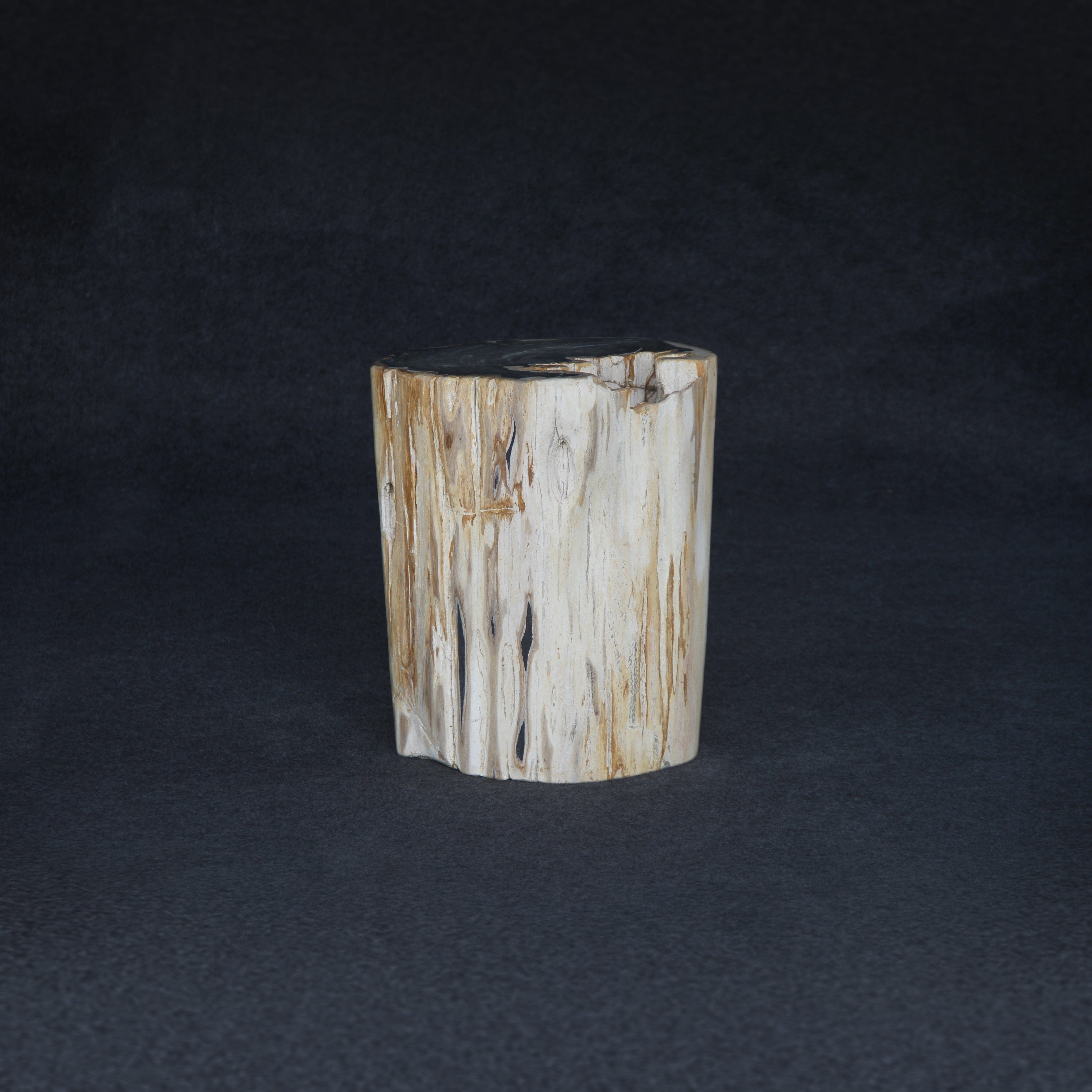 Kalifano Petrified Wood Petrified Wood Round Stump / Stool 18" / 181lbs PWS3400.015