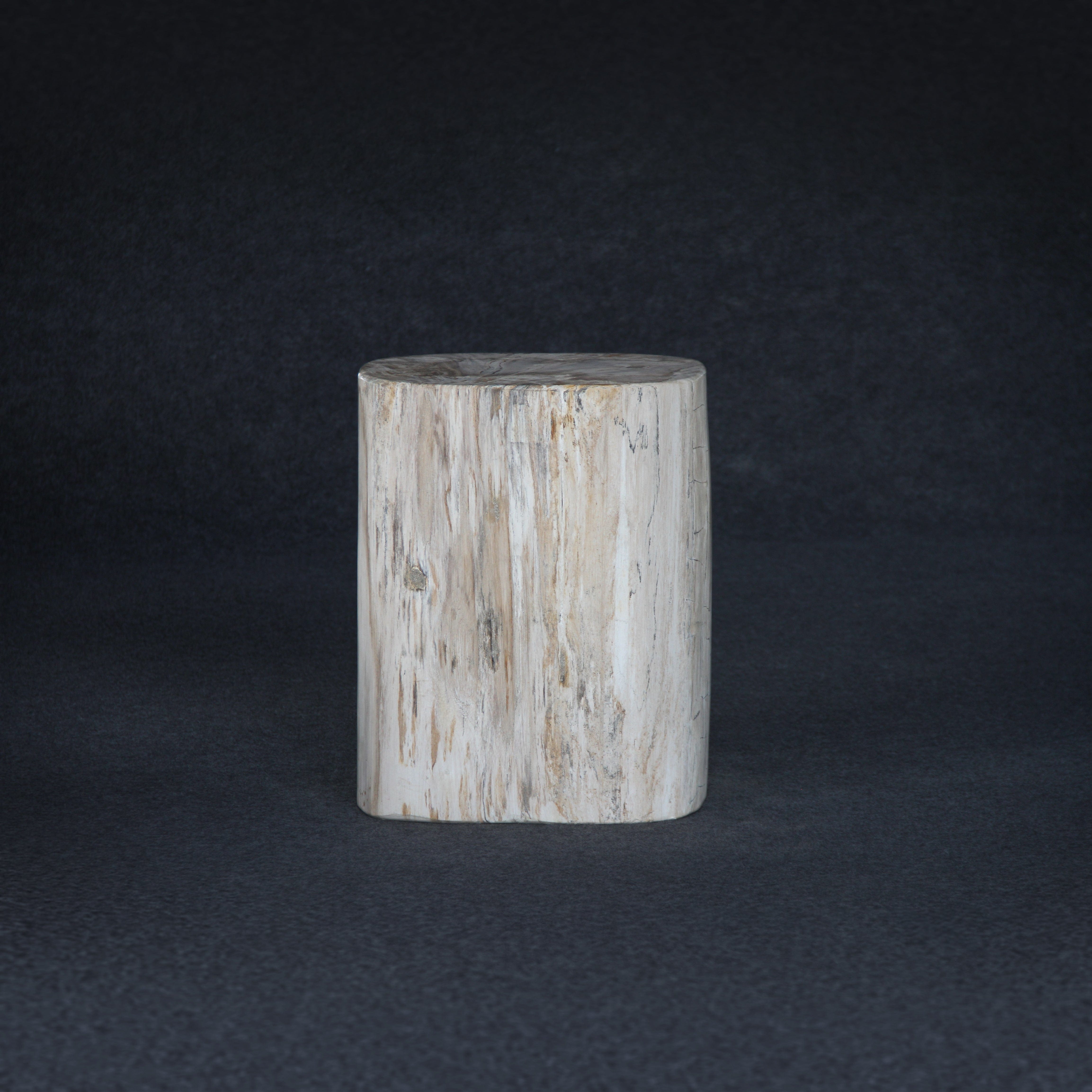 Kalifano Petrified Wood Petrified Wood Round Stump / Stool 18" / 183lbs PWS3400.019