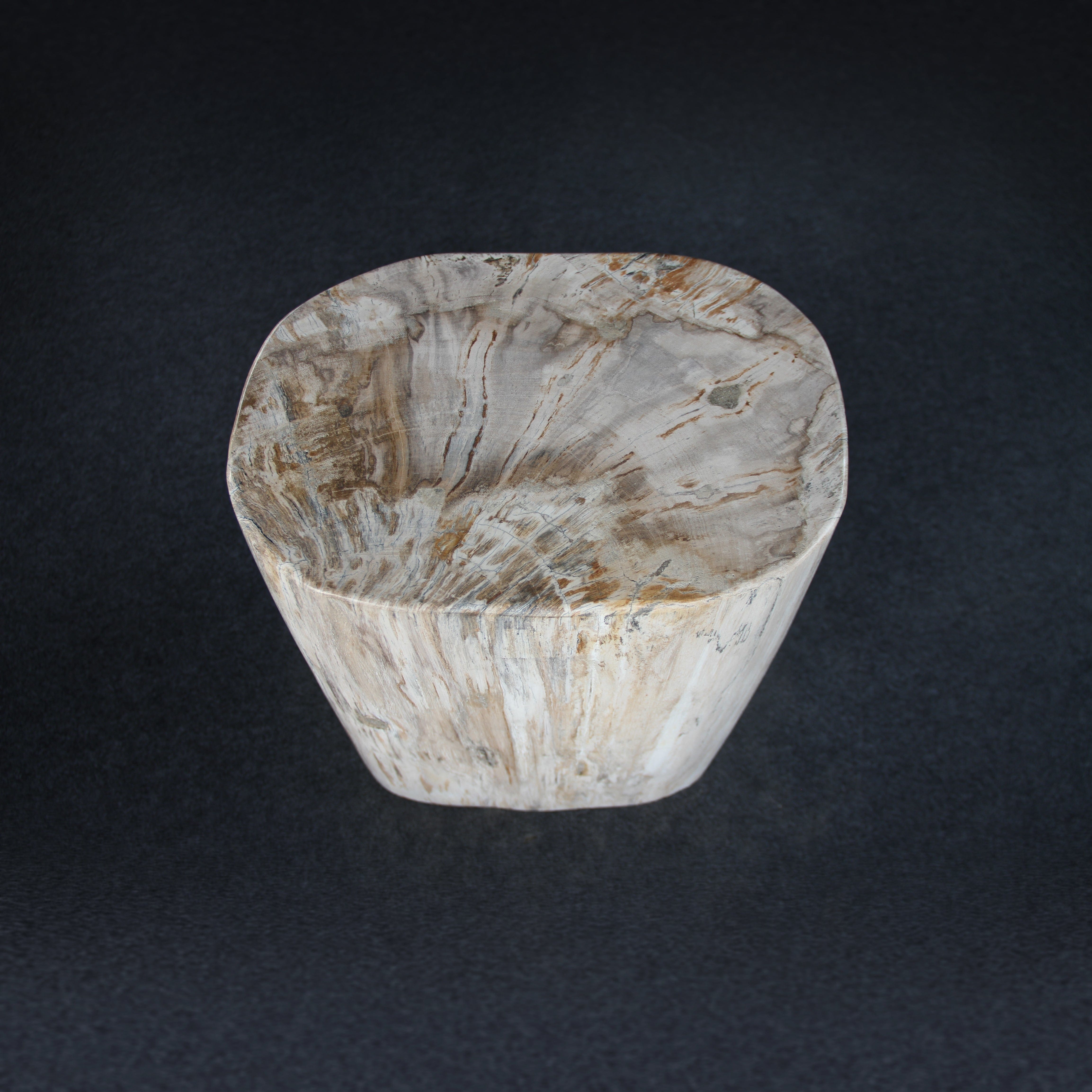 Kalifano Petrified Wood Petrified Wood Round Stump / Stool 18" / 183lbs PWS3400.019