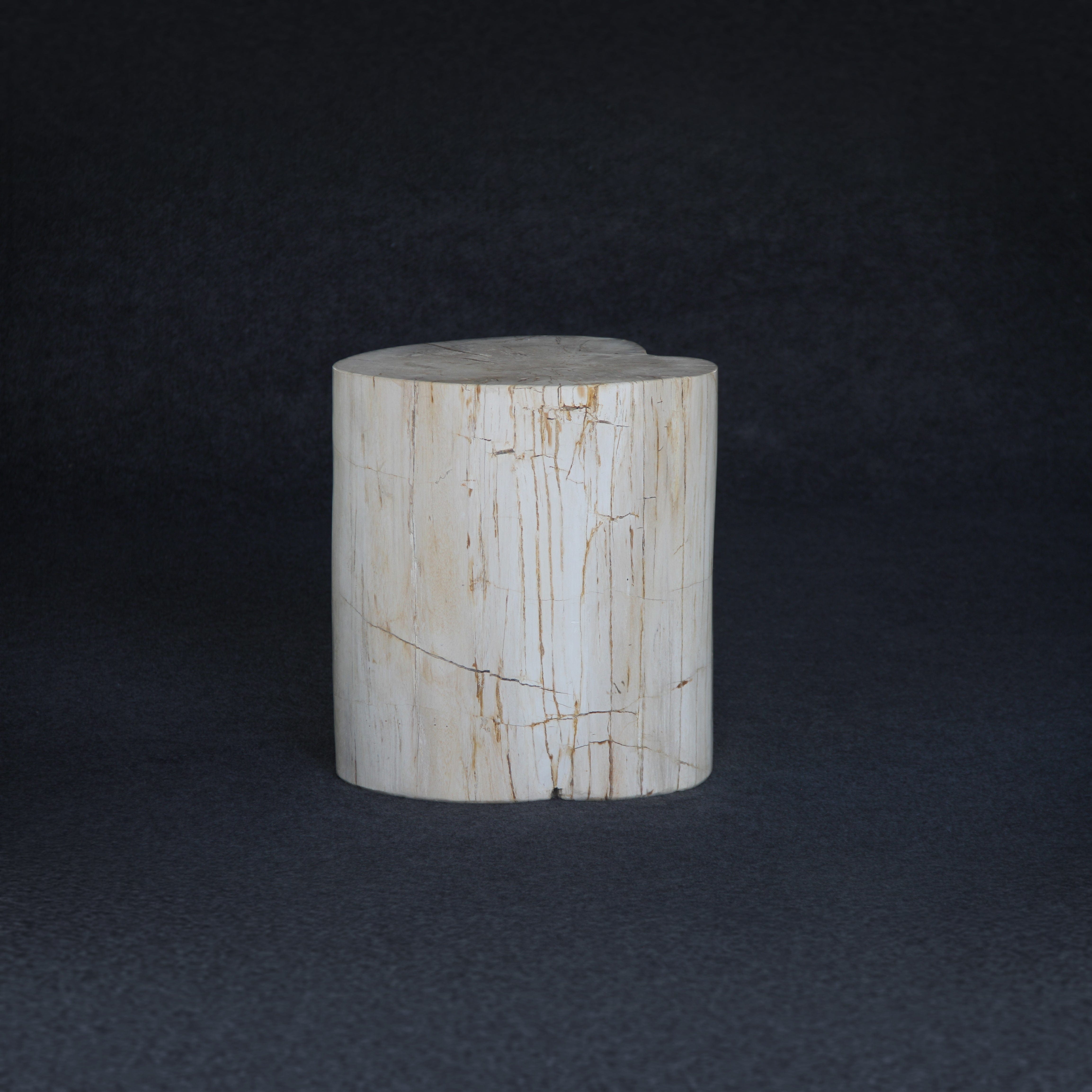 Kalifano Petrified Wood Petrified Wood Round Stump / Stool 18" / 245lbs PWS4400.012
