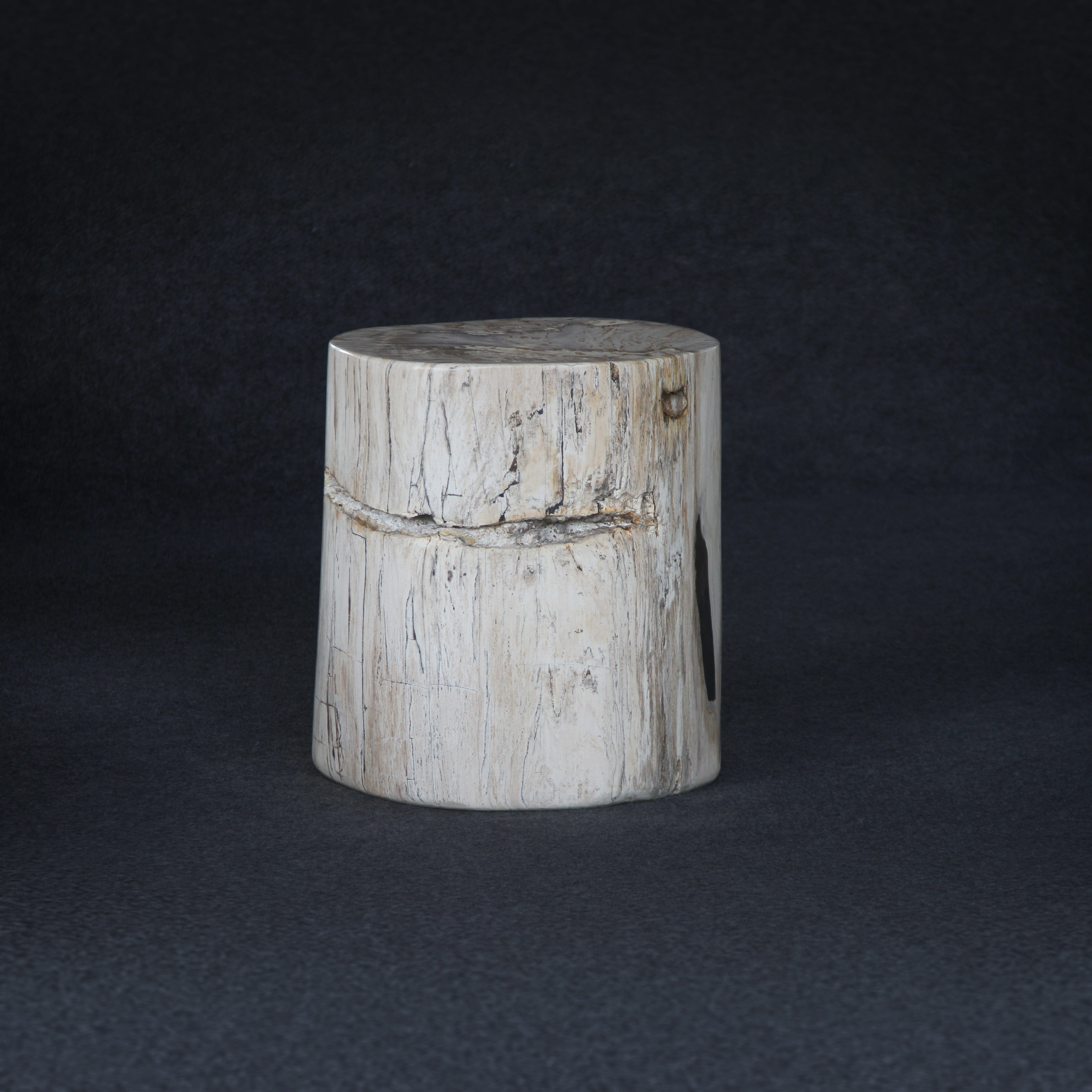 Kalifano Petrified Wood Petrified Wood Round Stump / Stool 18" / 247lbs PWS4400.013
