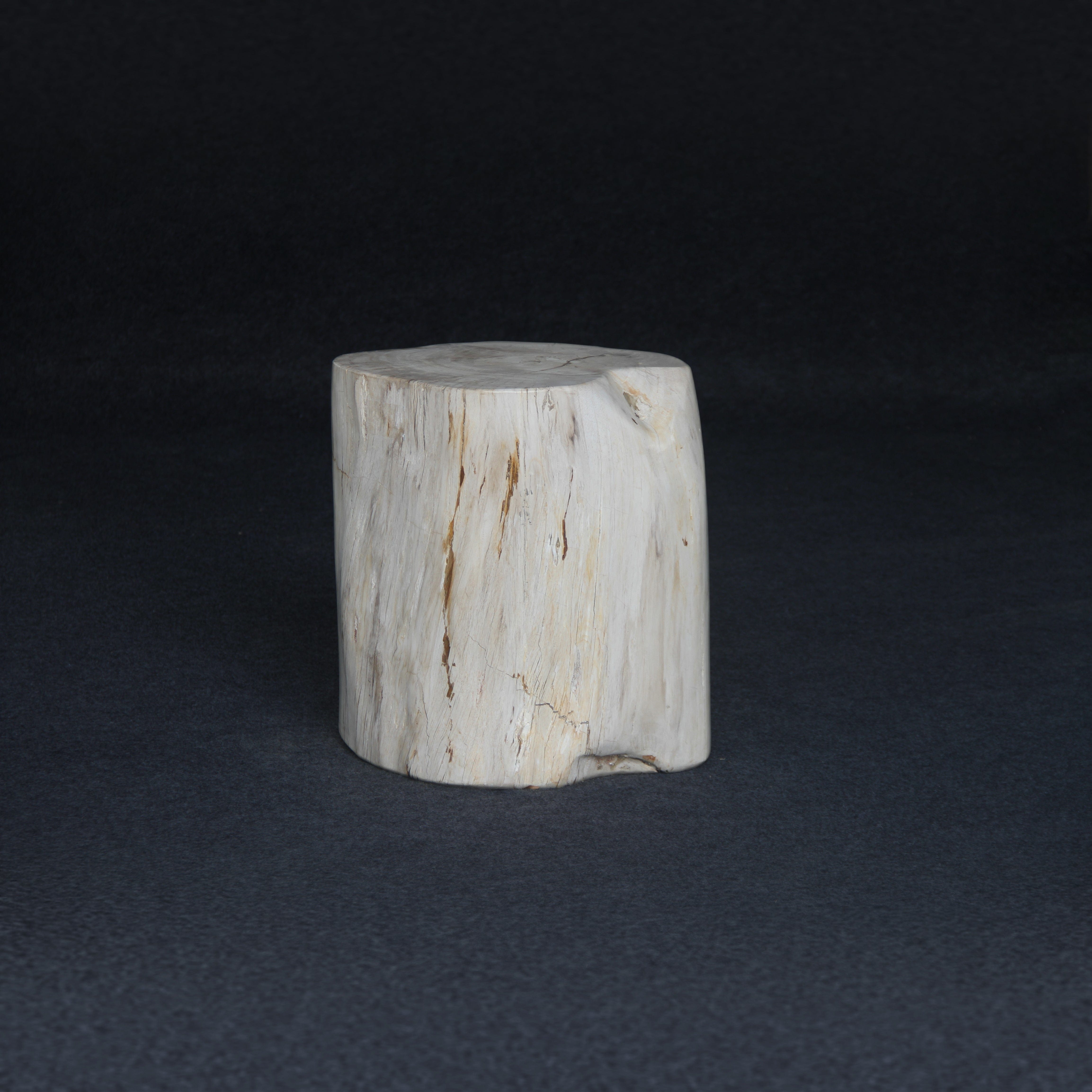 Kalifano Petrified Wood Petrified Wood Round Stump / Stool 18" / 251lbs PWS4600.003