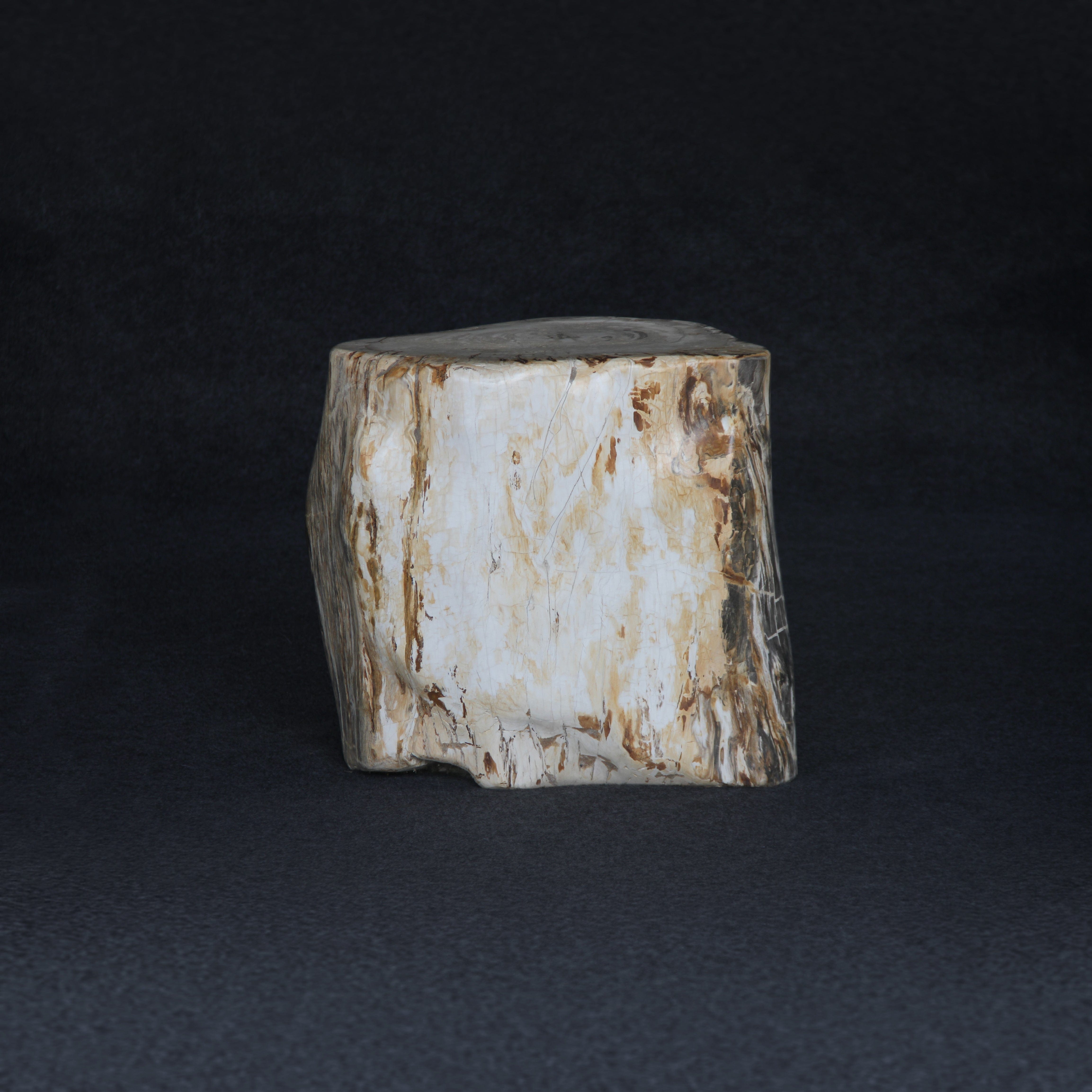 Kalifano Petrified Wood Petrified Wood Round Stump / Stool 18" / 267lbs PWS4800.006