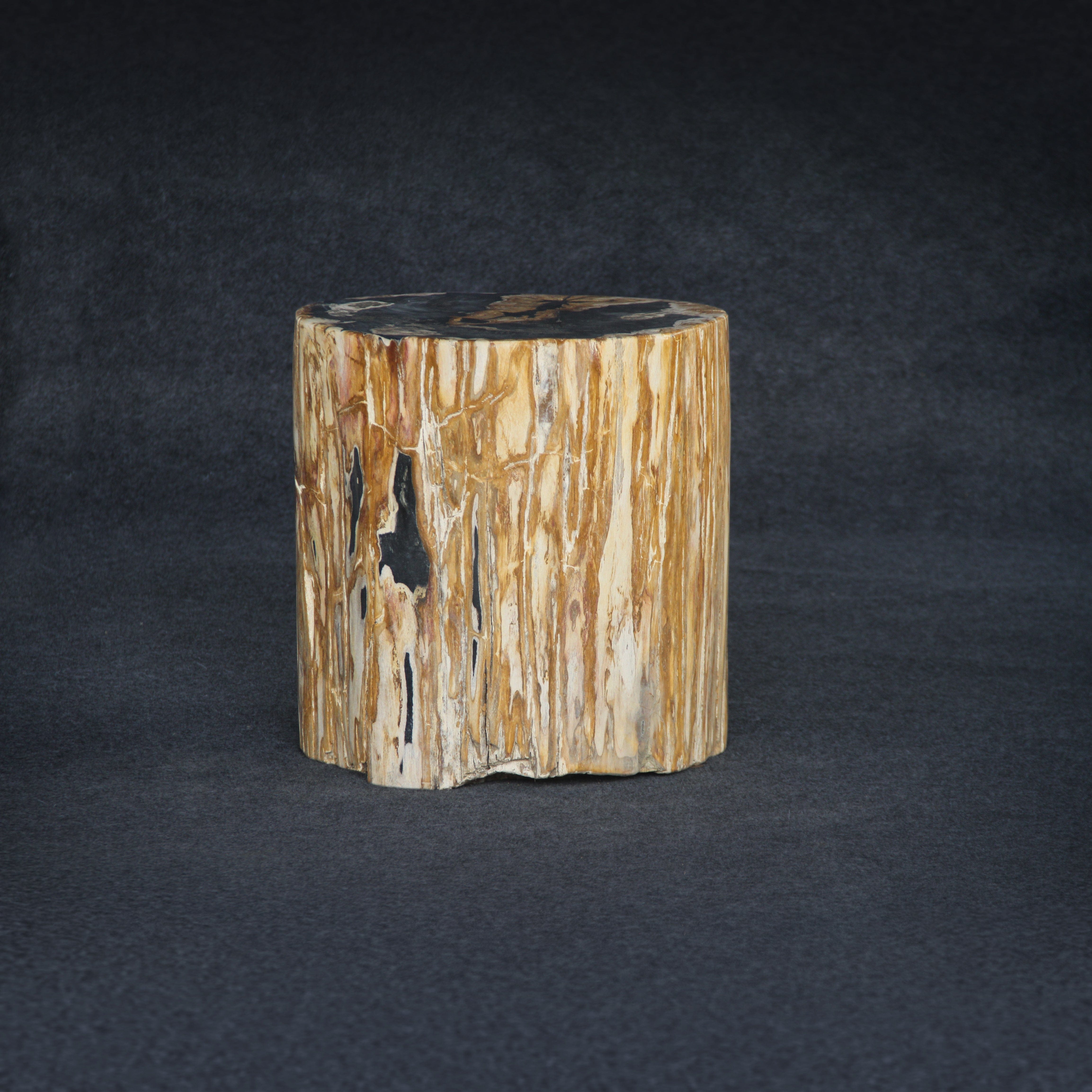 Kalifano Petrified Wood Petrified Wood Round Stump / Stool 18" / 276lbs PWS5000.008