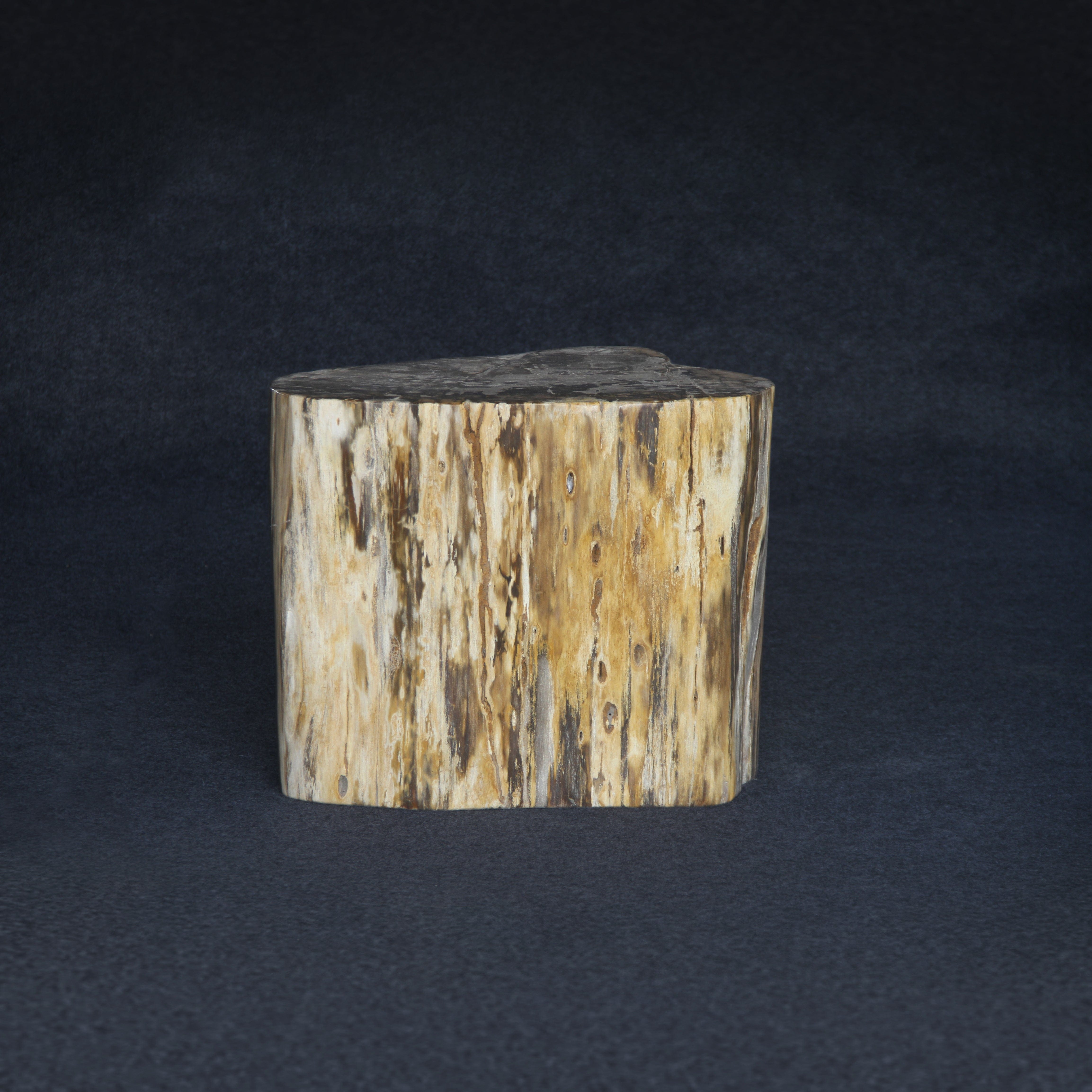 Kalifano Petrified Wood Petrified Wood Round Stump / Stool 18" / 373lbs PWS6800.001