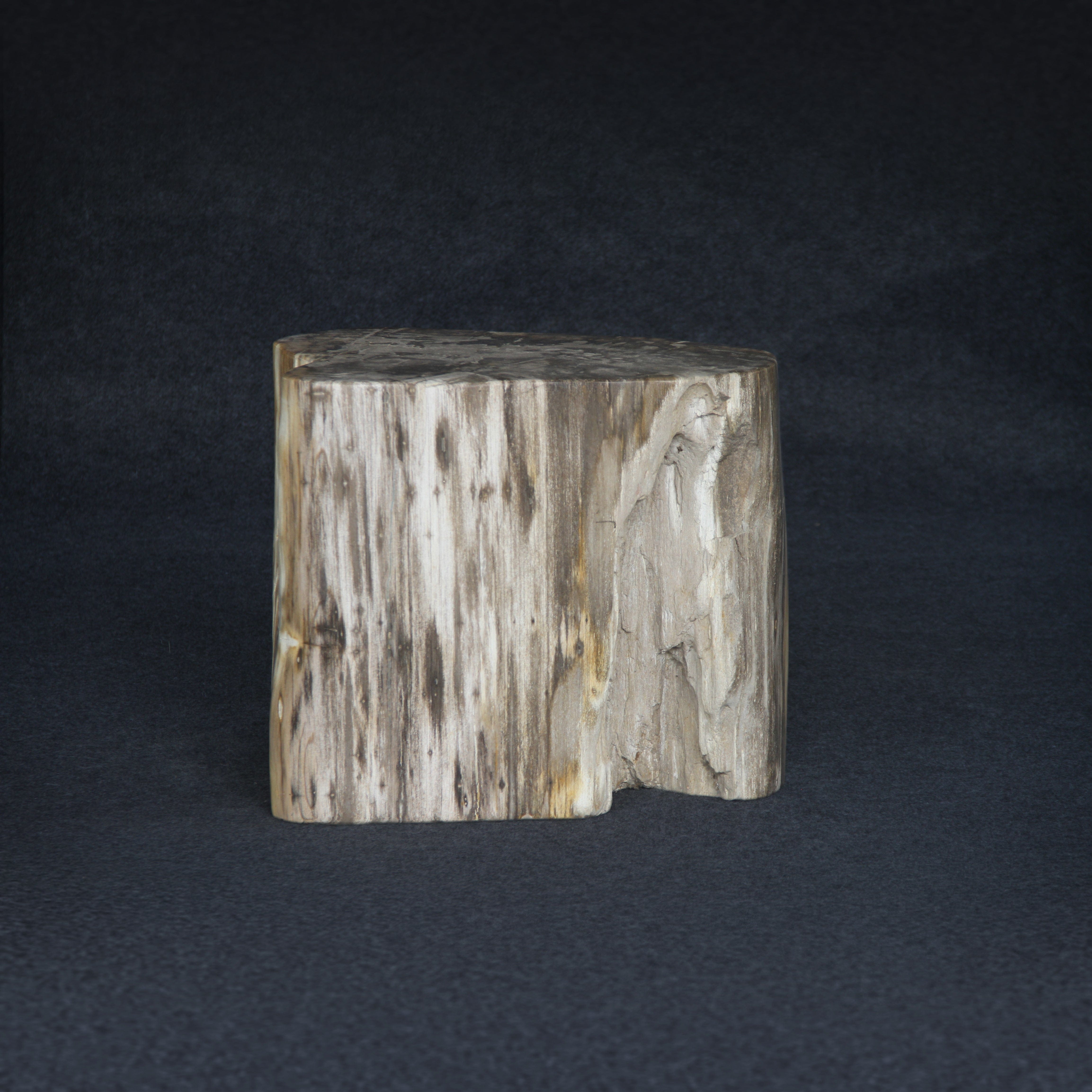 Kalifano Petrified Wood Petrified Wood Round Stump / Stool 18" / 373lbs PWS6800.001