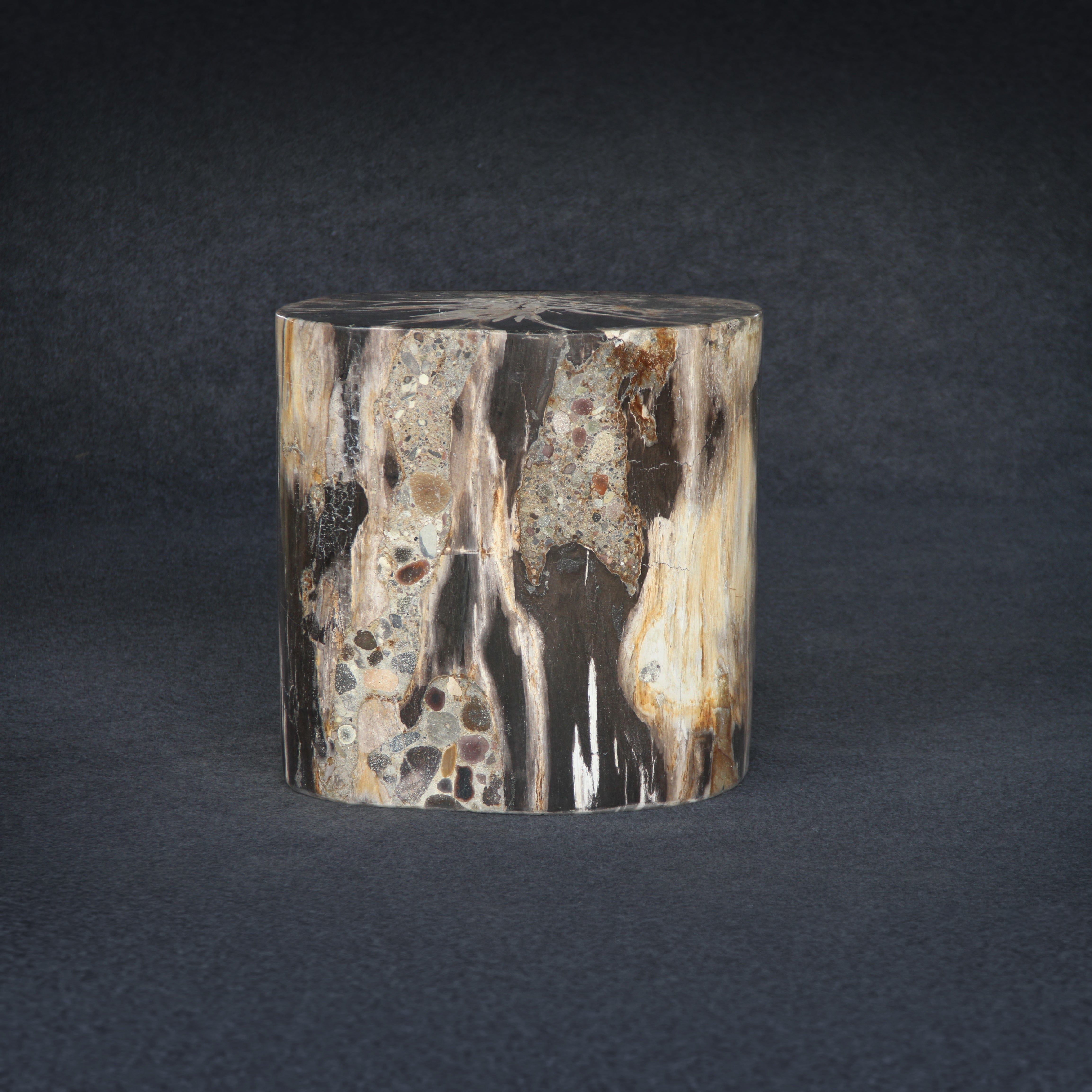 Kalifano Petrified Wood Petrified Wood Round Stump / Stool 19" / 335lbs PWS6000.005