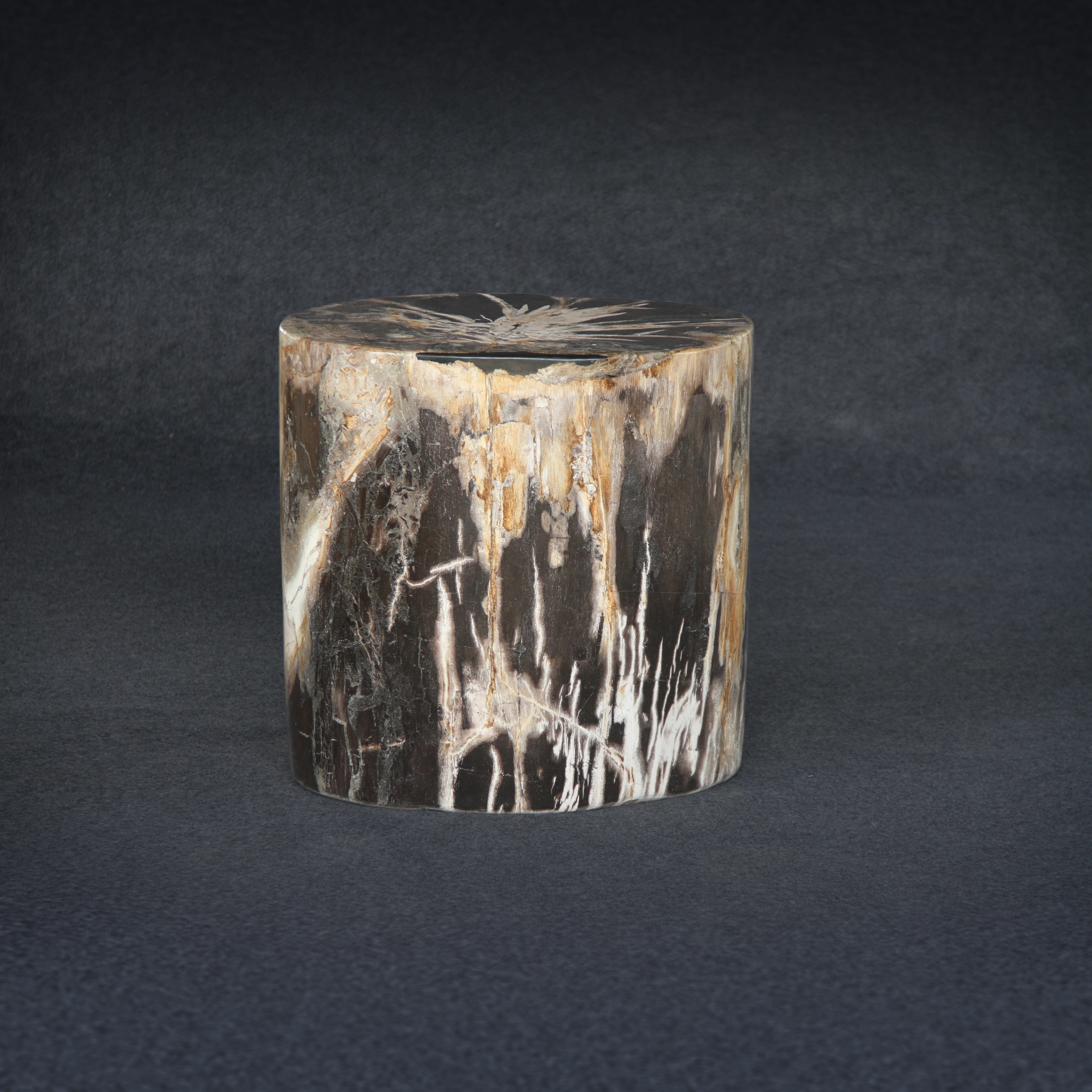 Kalifano Petrified Wood Petrified Wood Round Stump / Stool 19" / 335lbs PWS6000.005