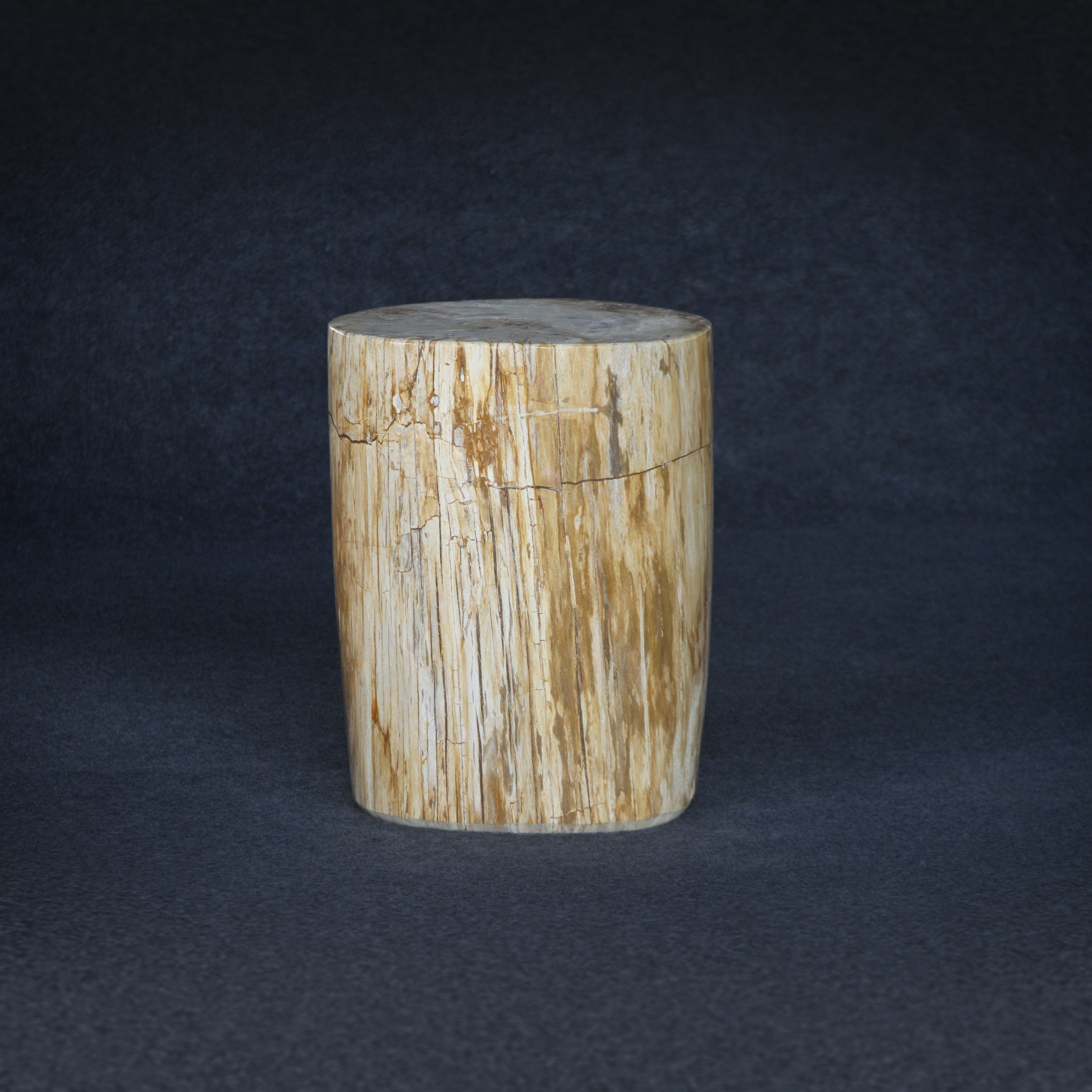 Kalifano Petrified Wood Petrified Wood Round Stump / Stool 20" / 267lbs PWS4800.007