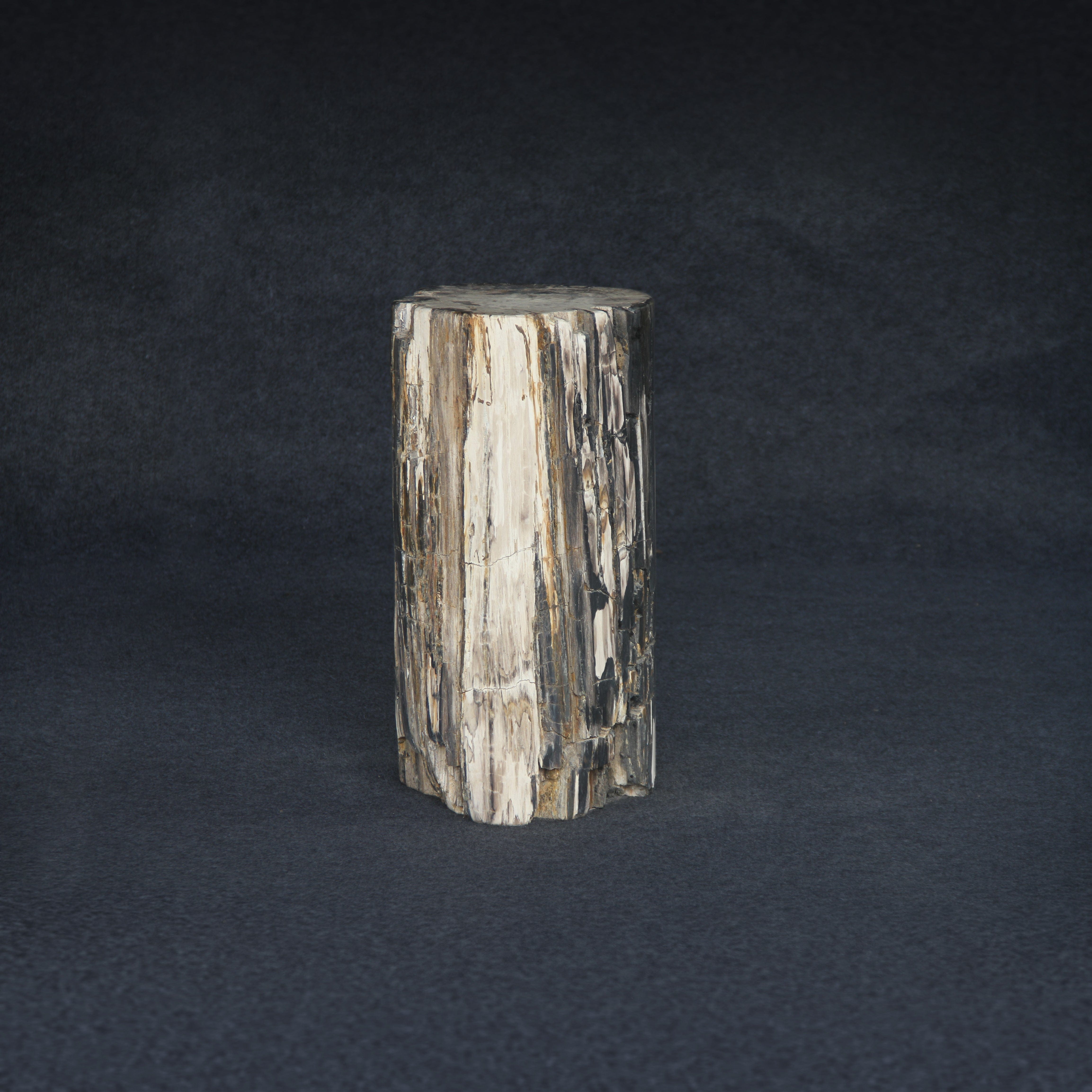Kalifano Petrified Wood Petrified Wood Round Stump / Stool 23" / 192lbs PWS3600.010