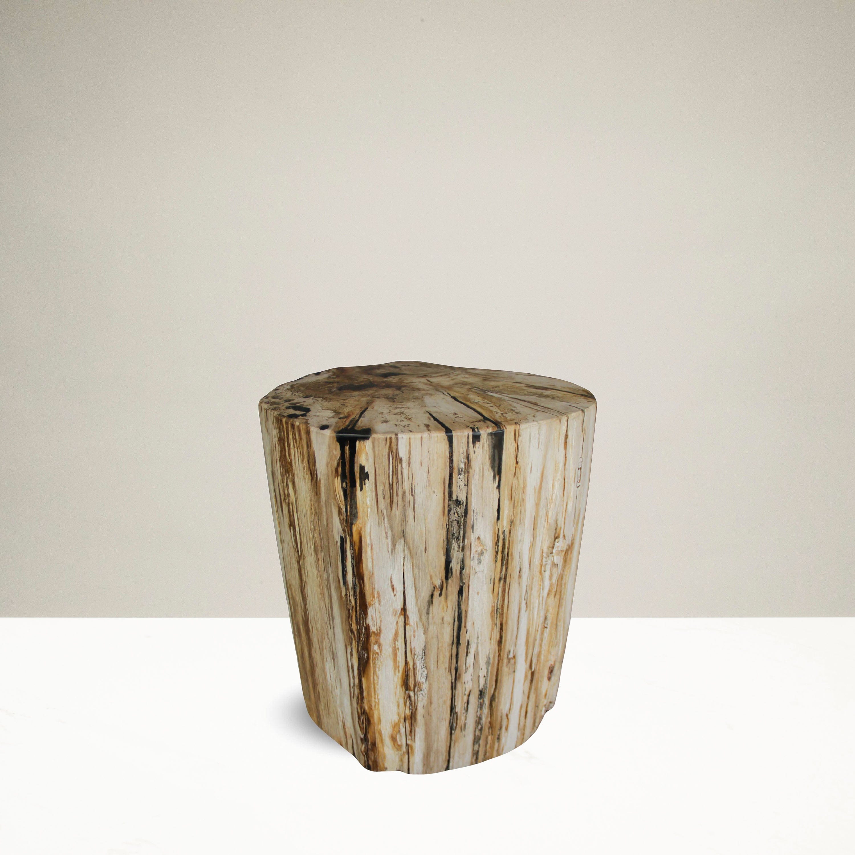 Kalifano Petrified Wood Petrified Wood Round Stump / Stool from Indonesia - 16" / 233 lbs PWS4400.010