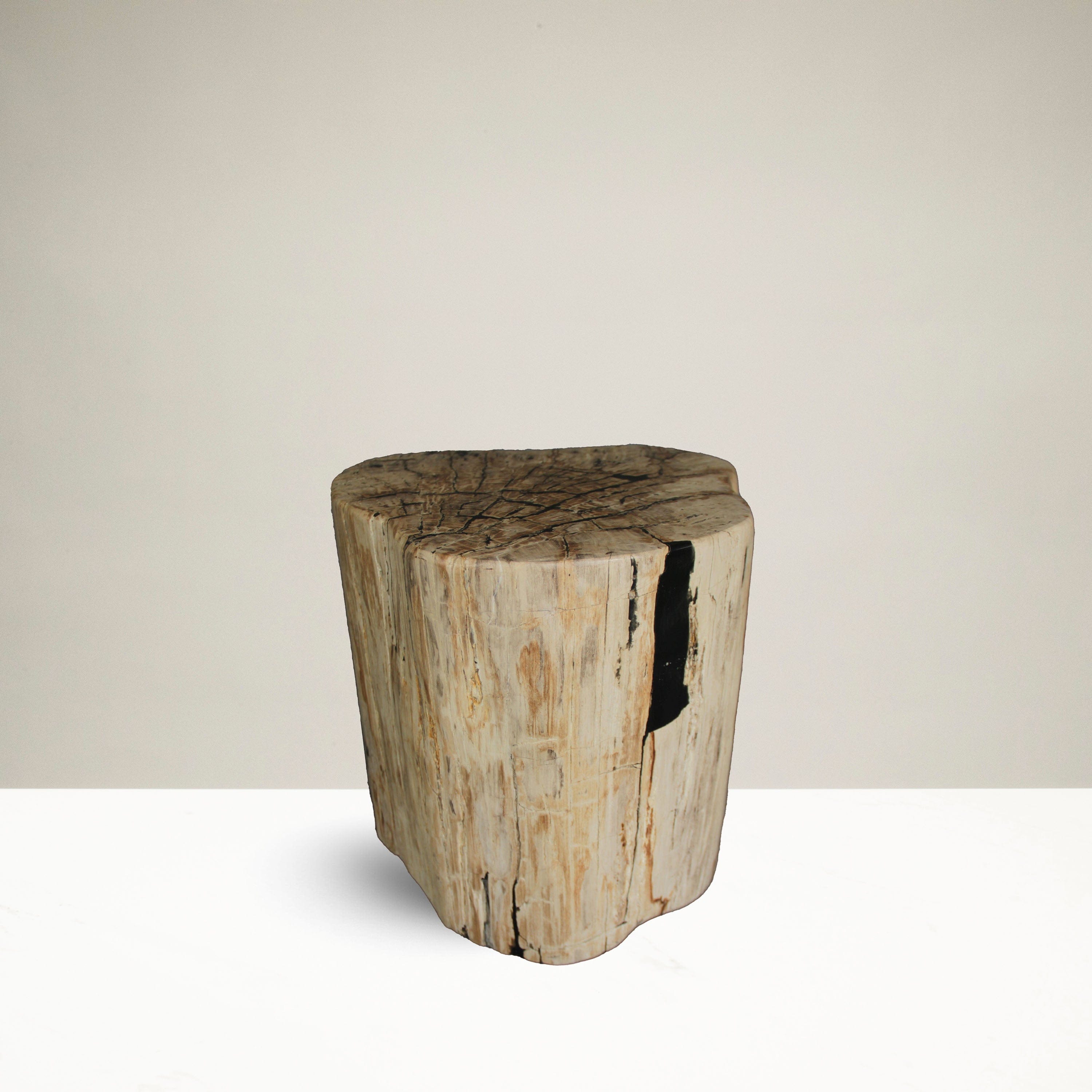 Kalifano Petrified Wood Petrified Wood Round Stump / Stool from Indonesia - 16" / 240 lbs PWS4400.007