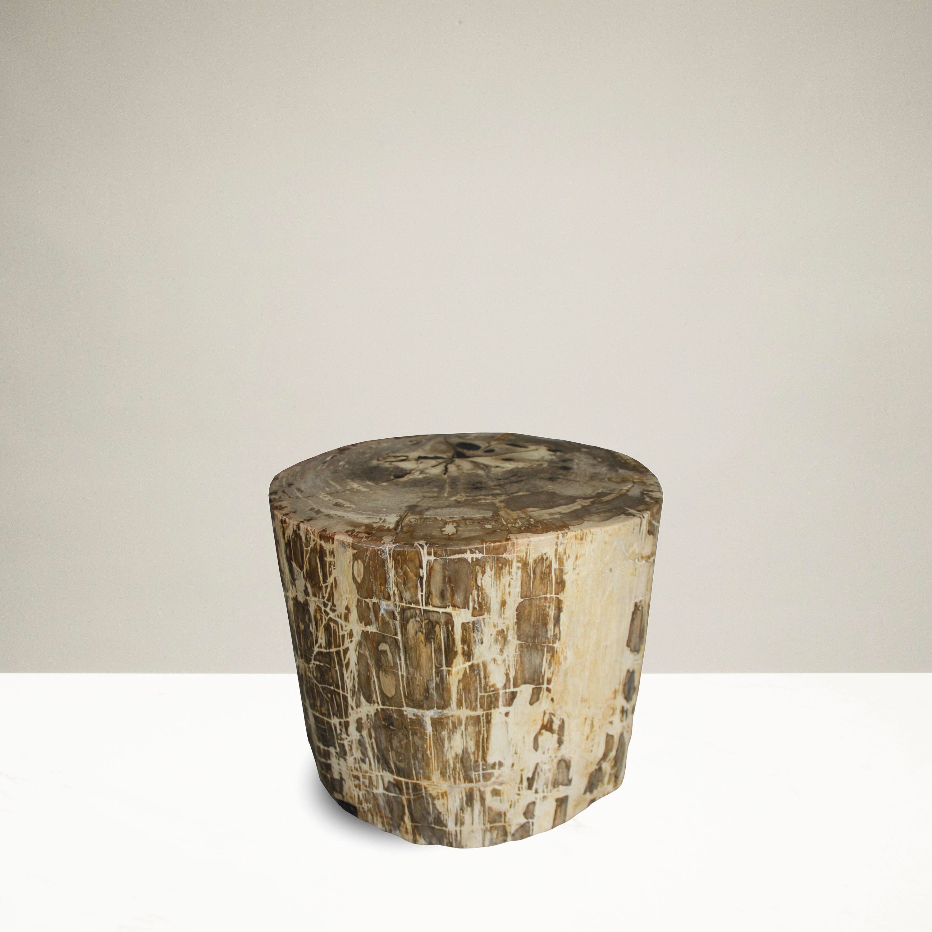 Kalifano Petrified Wood Petrified Wood Round Stump / Stool from Indonesia - 16" / 266 lbs PWS5000.004