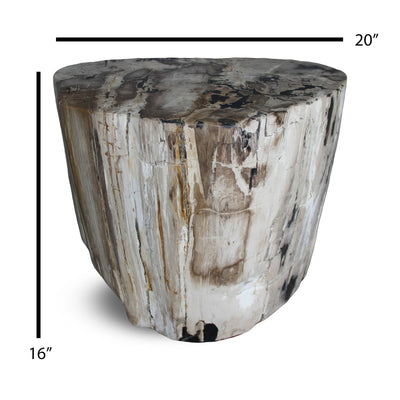 Kalifano Petrified Wood Petrified Wood Round Stump / Stool from Indonesia - 16" / 286 lbs PWS5200.002