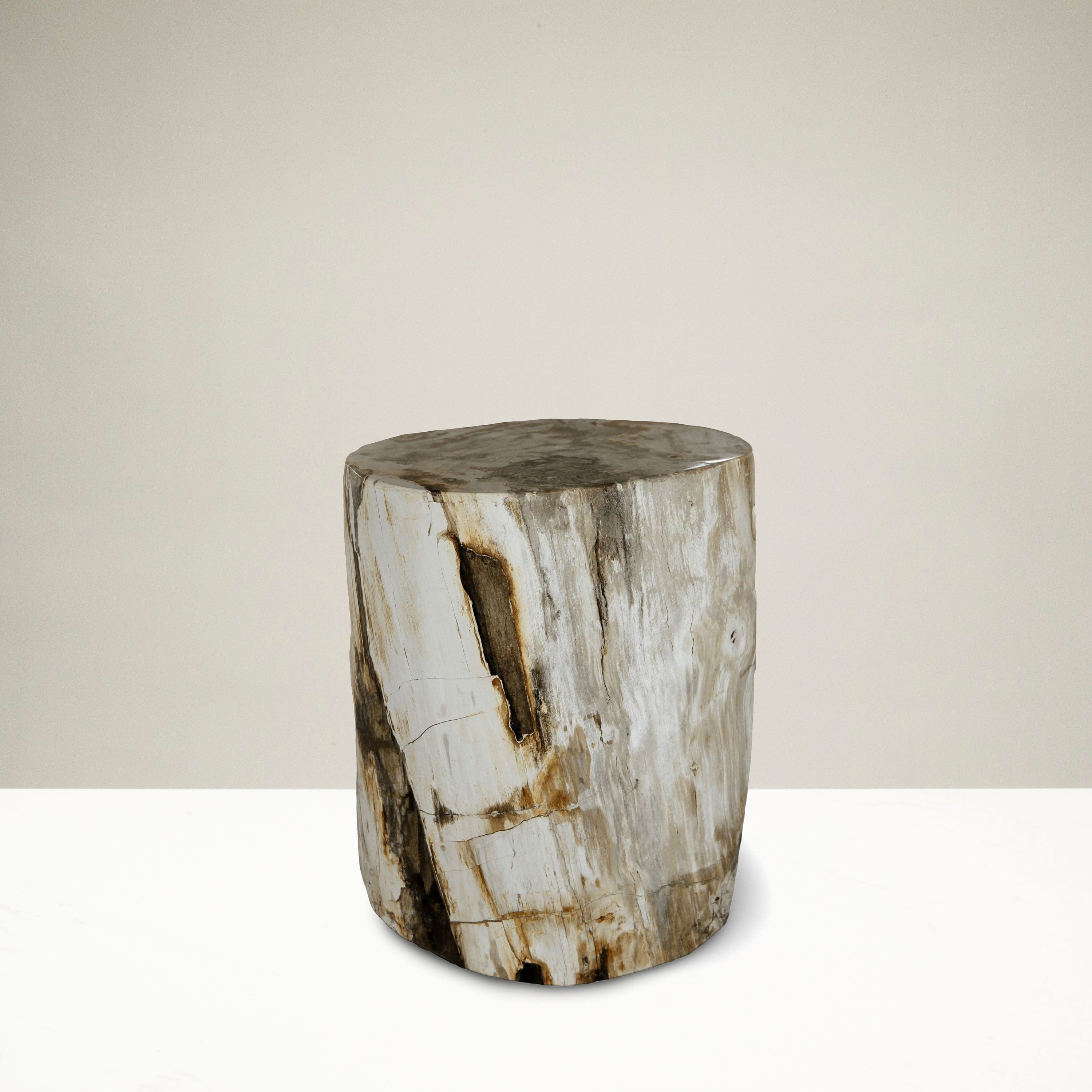 Kalifano Petrified Wood Petrified Wood Round Stump / Stool from Indonesia - 18" / 209 lbs PWS3800.003